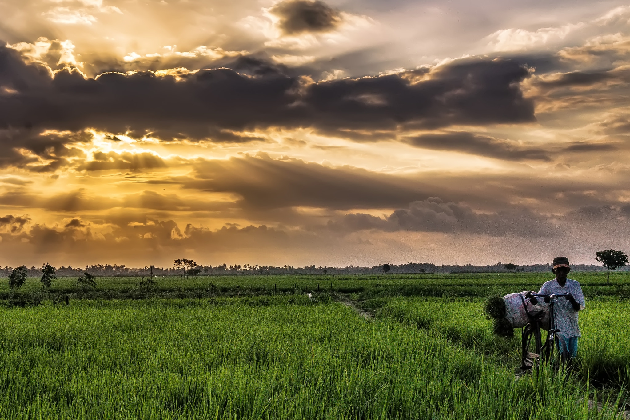 Sony Alpha DSLR-A560 sample photo. Saatnya pulang photography