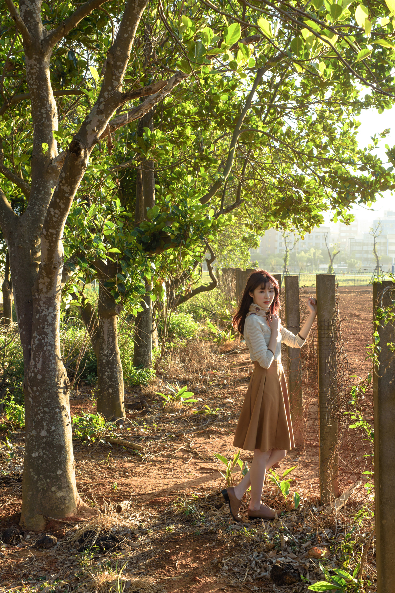 ZEISS Milvus 50mm F1.4 sample photo. Dsc_3526.jpg photography