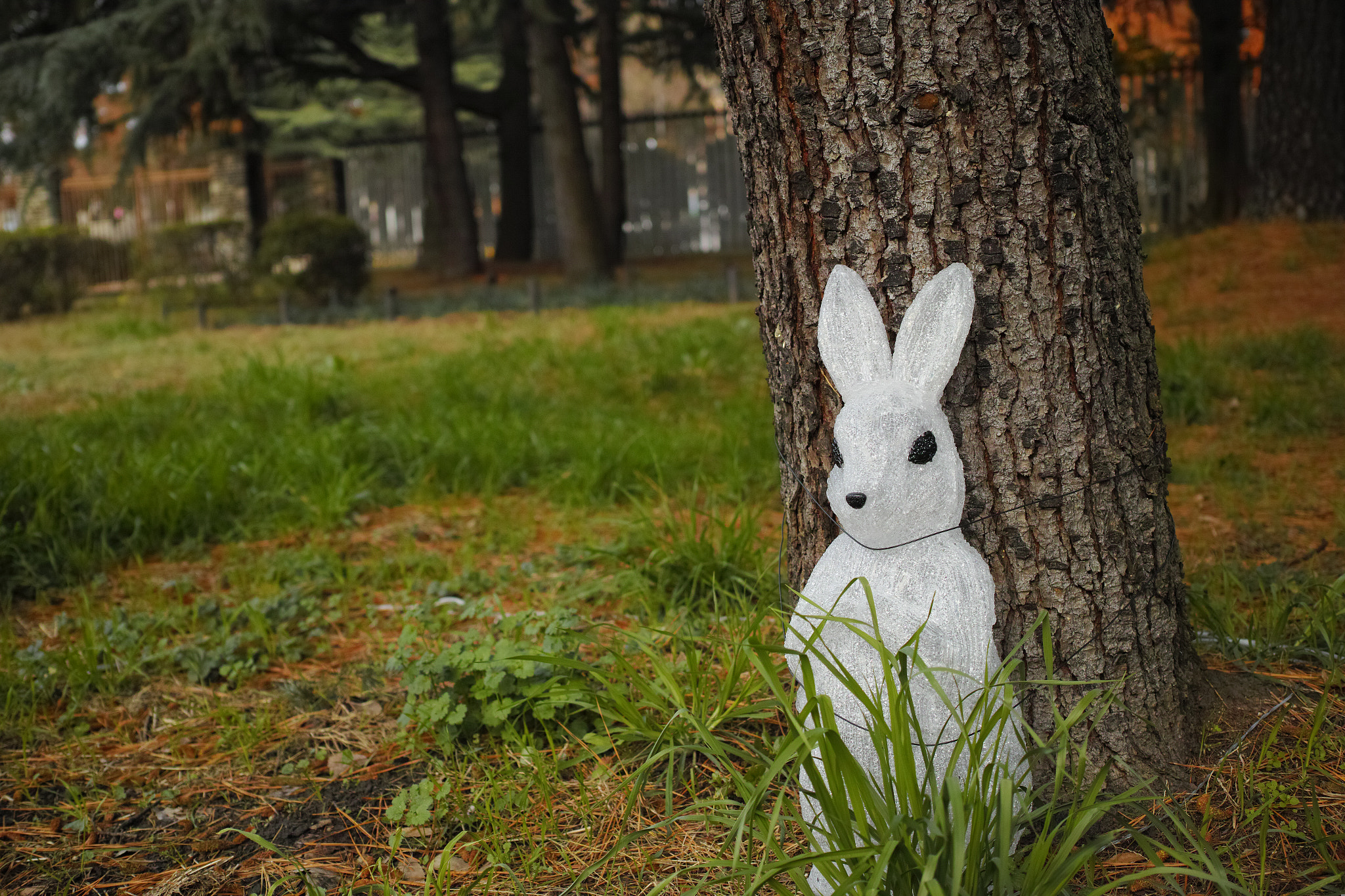 Sigma dp2 Quattro + 1007 sample photo. Help me! photography