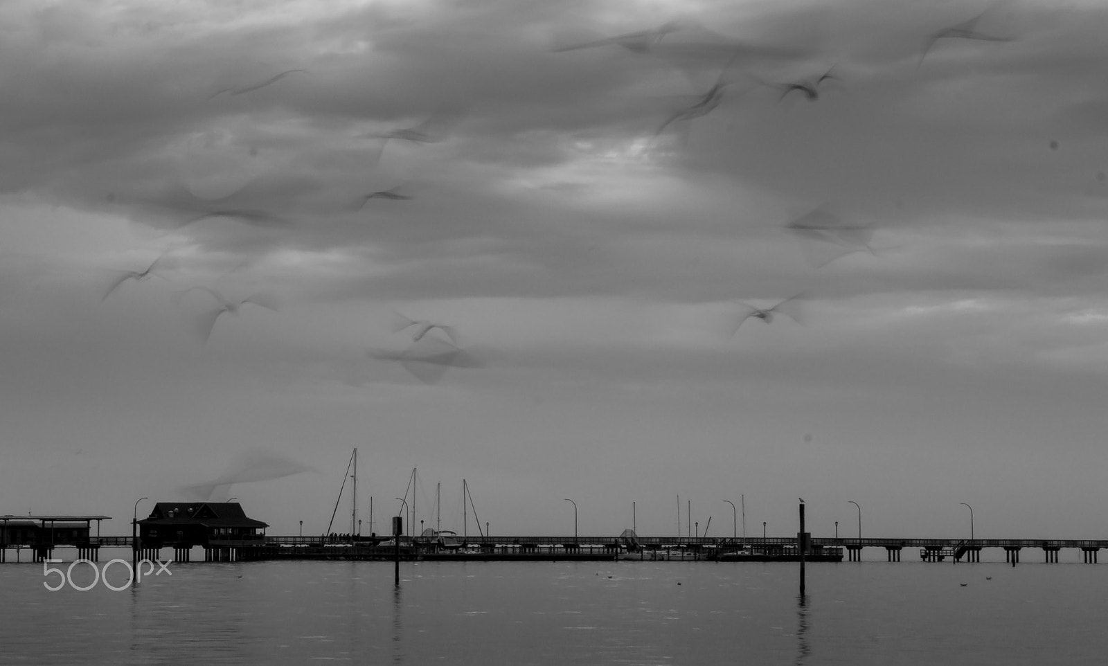 Sigma 18-250mm F3.5-6.3 DC OS HSM sample photo. B & w morning photography