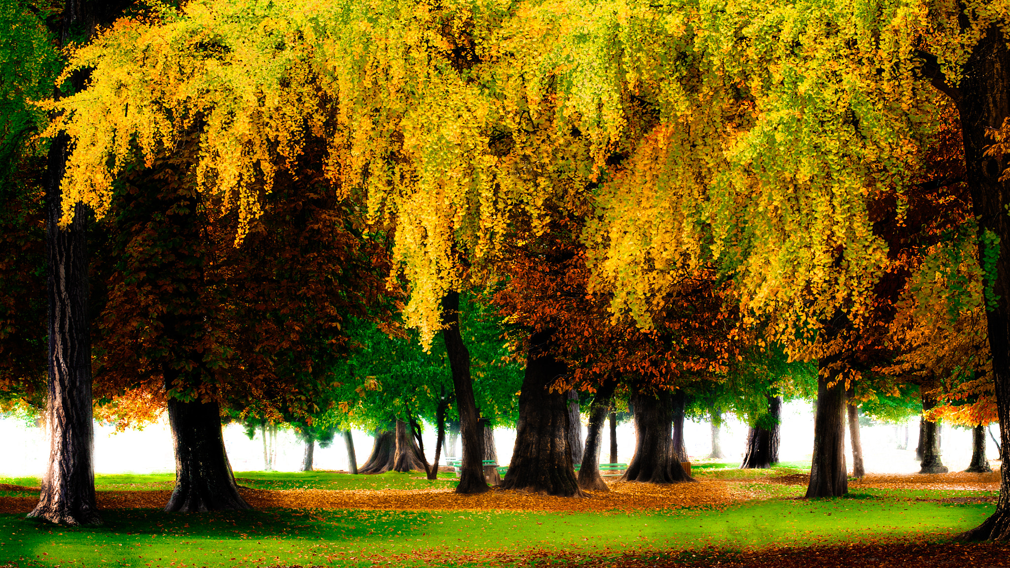 AF-S Zoom-Nikkor 80-200mm f/2.8D IF-ED sample photo. Annecy photography
