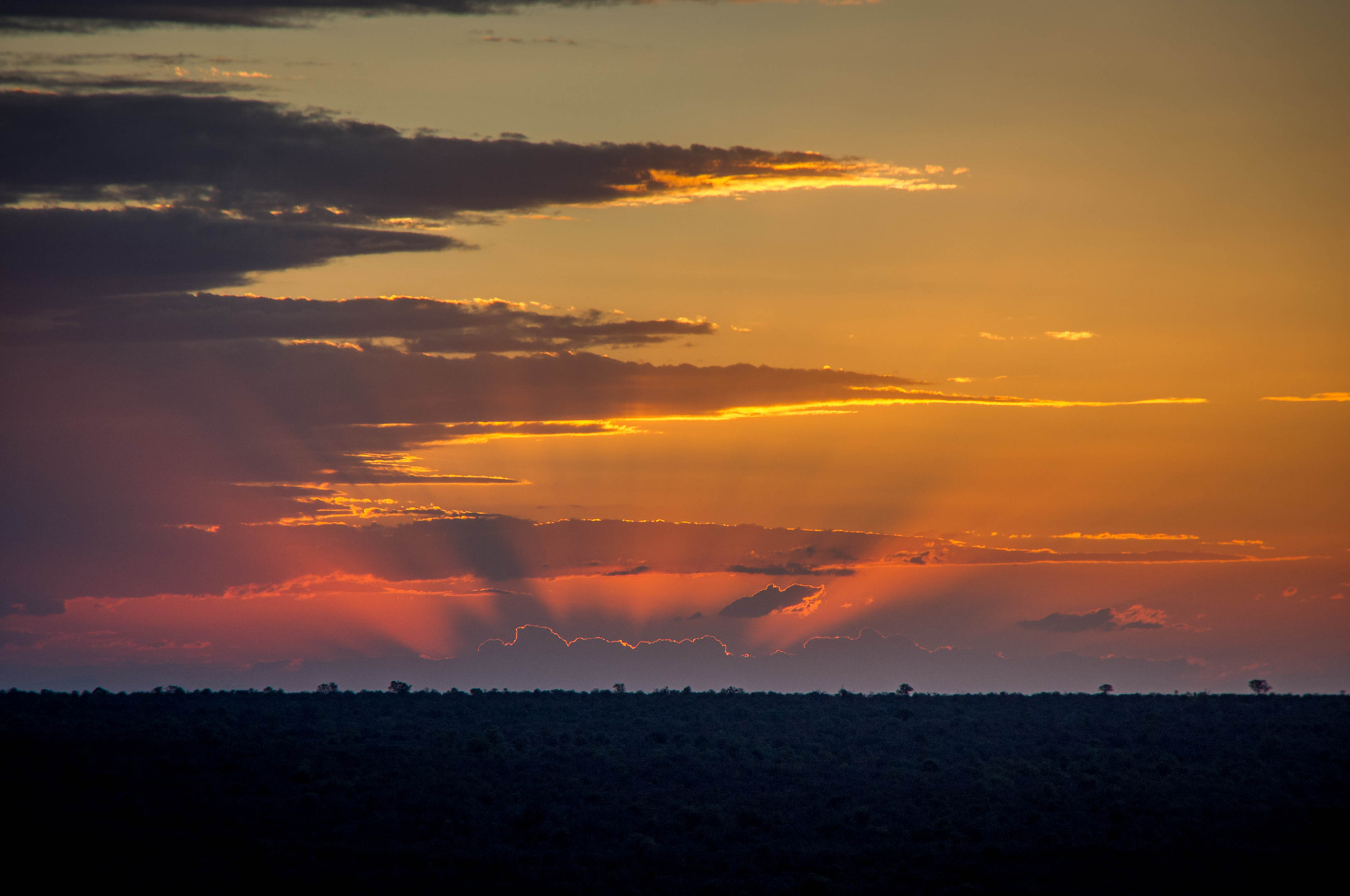 Pentax K-x sample photo. Kruger sunset photography