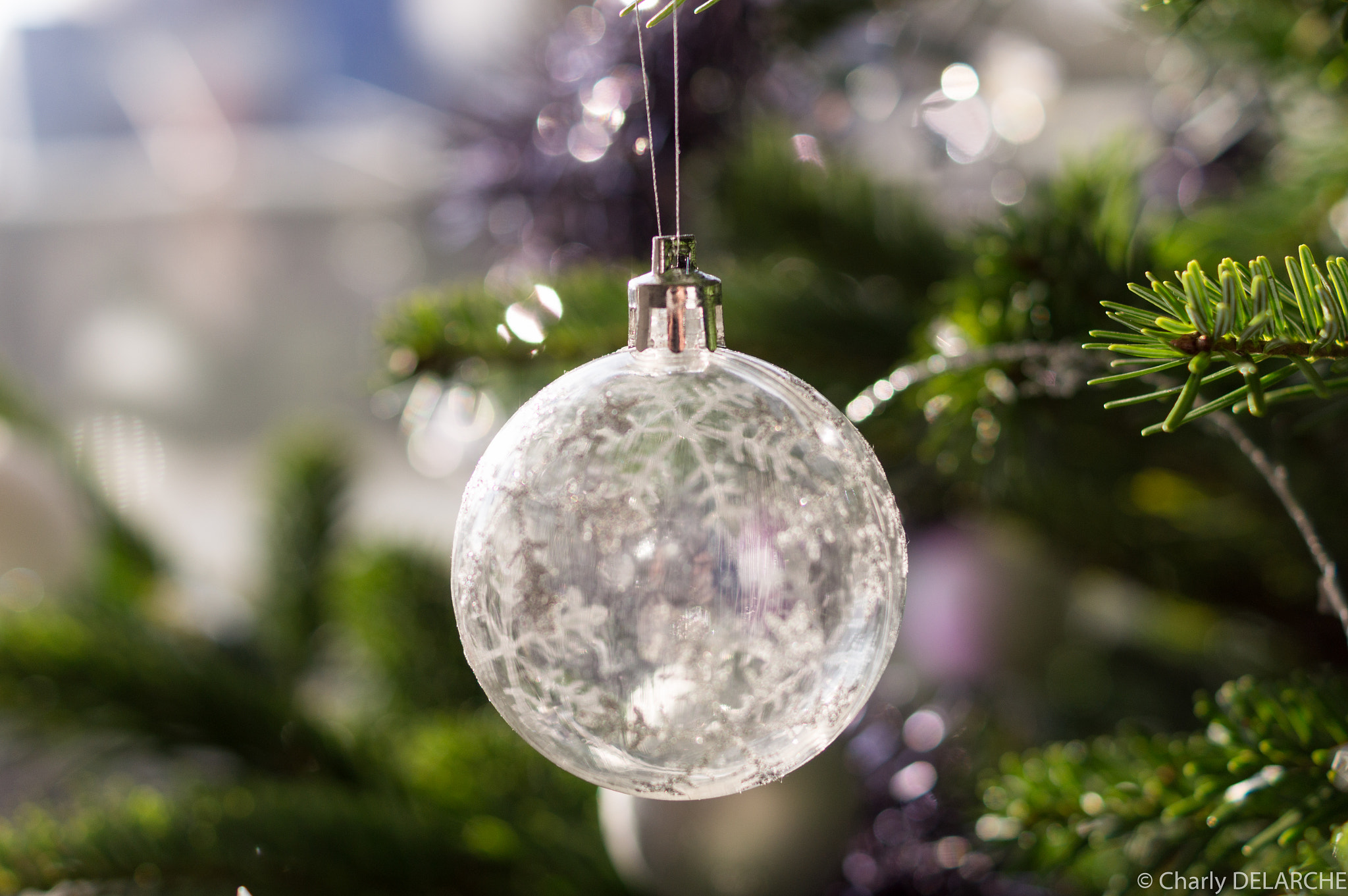 Sony SLT-A55 (SLT-A55V) + Sony DT 35mm F1.8 SAM sample photo. Xmas deco photography