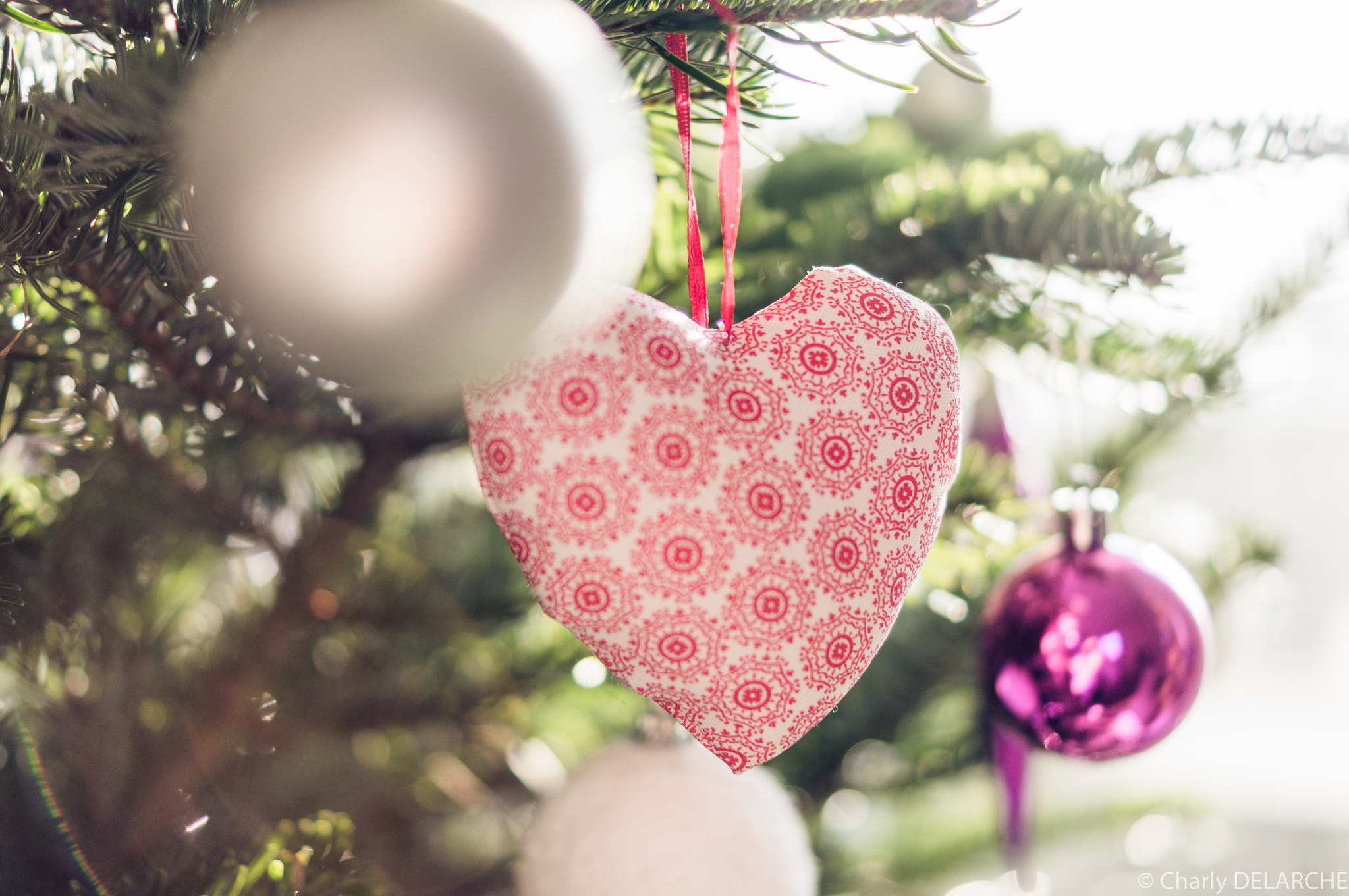 Sony SLT-A55 (SLT-A55V) + Sony DT 35mm F1.8 SAM sample photo. Xmas deco photography