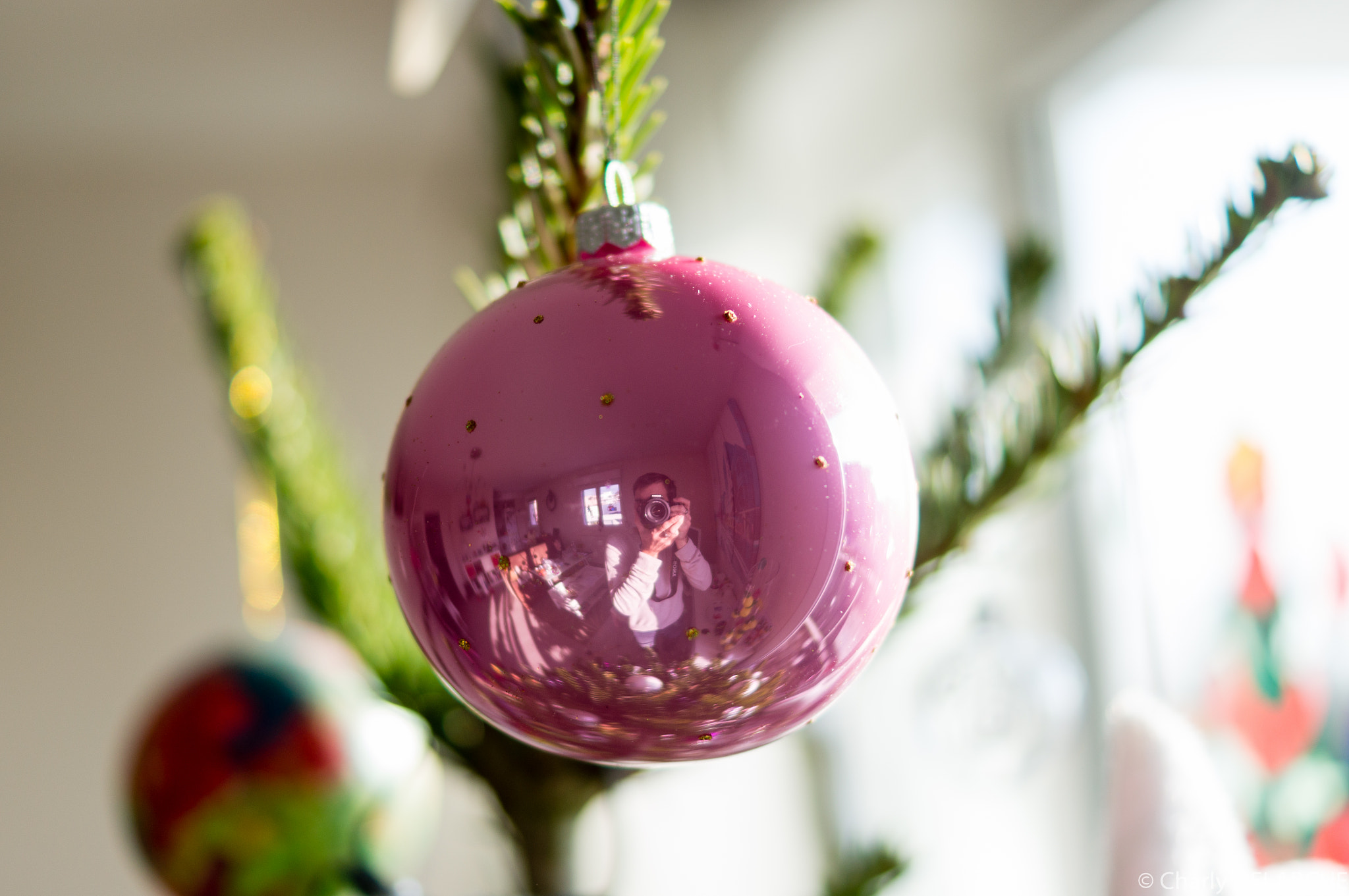 Sony SLT-A55 (SLT-A55V) + Sony DT 35mm F1.8 SAM sample photo. Xmas deco photography