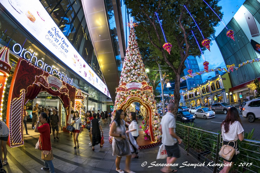Nikon D3300 + Samyang 8mm F3.5 Aspherical IF MC Fisheye sample photo. Orchard central photography