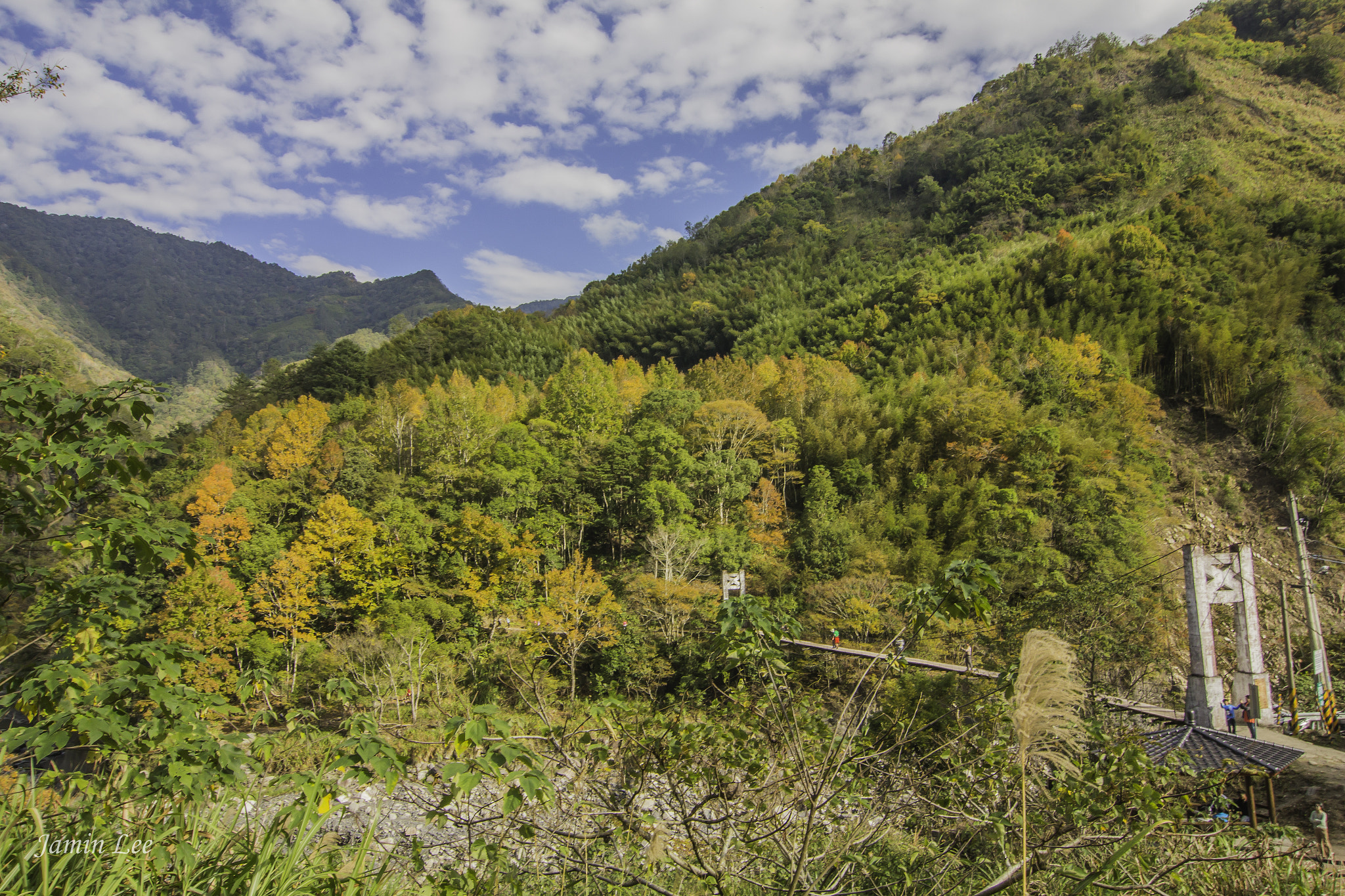 Tokina AT-X Pro 12-24mm F4 (IF) DX sample photo. 秀巒楓情 photography