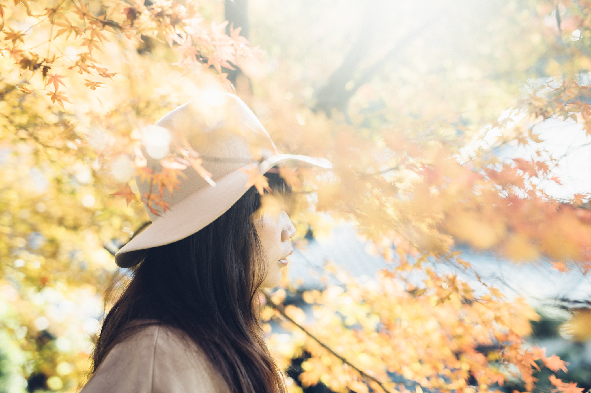 Nikon Df + Sigma 50mm F1.4 DG HSM Art sample photo. Feel autumn air photography