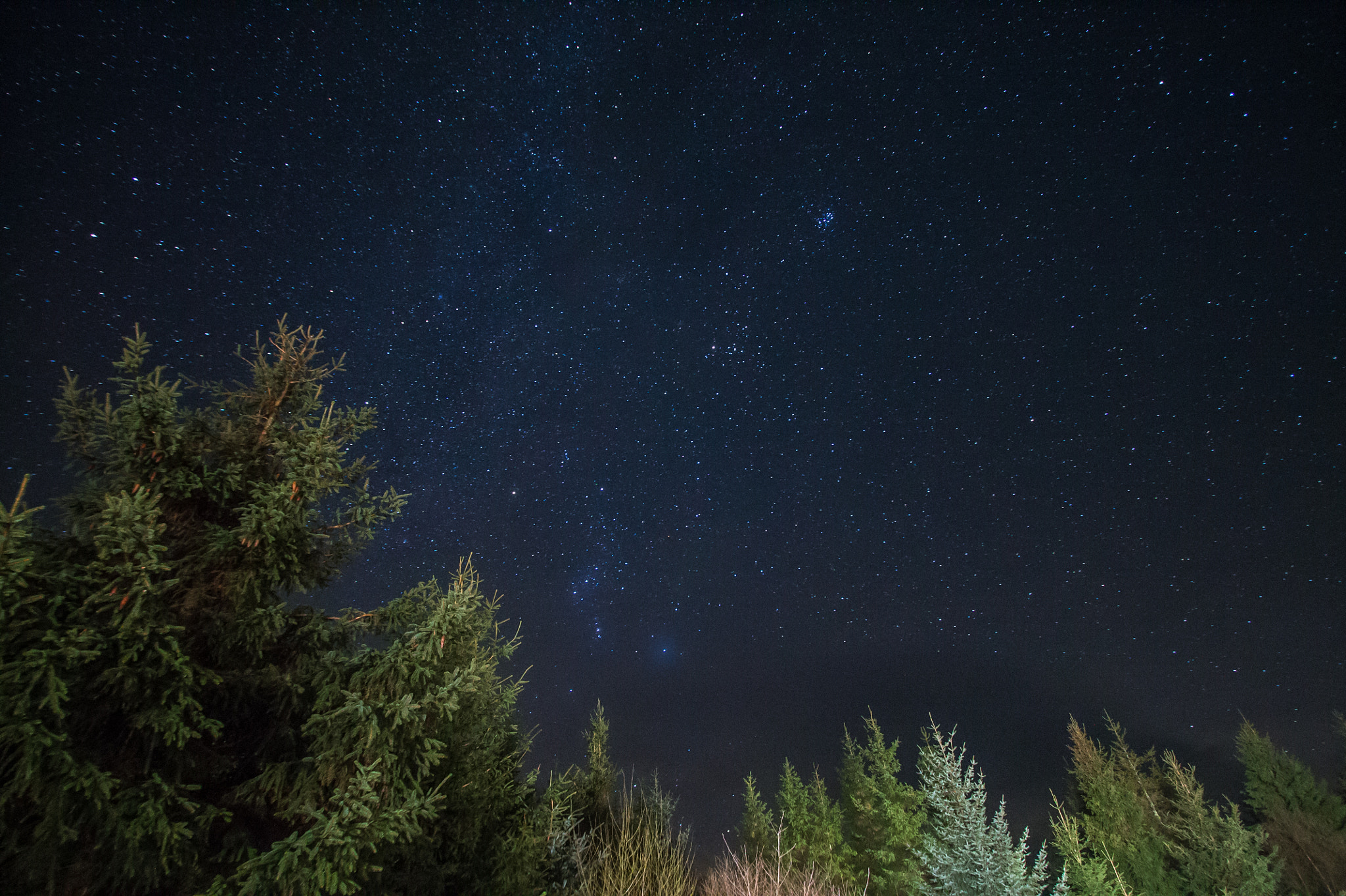 Canon EF-S 10-22mm F3.5-4.5 USM sample photo. Stars in the forest photography