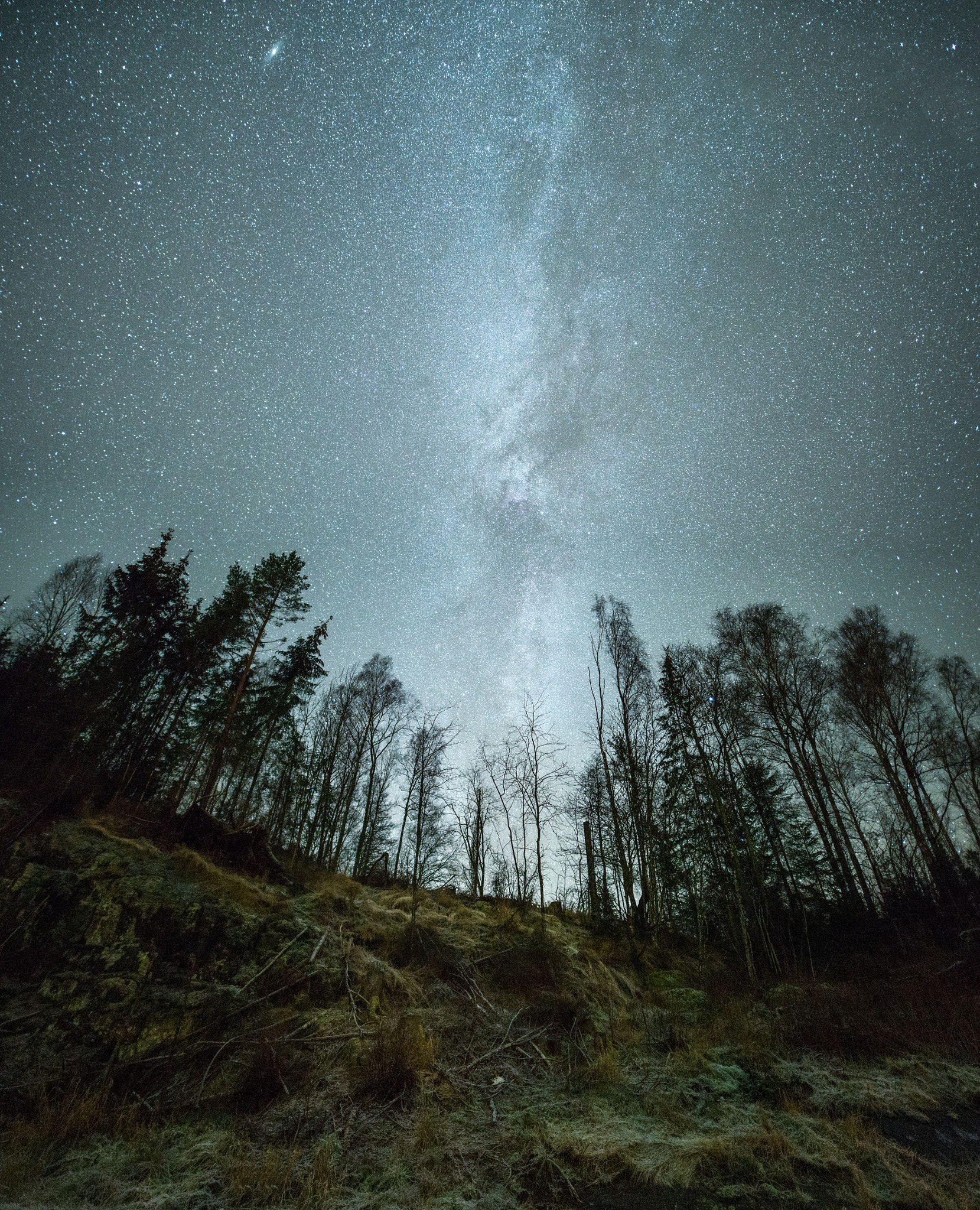 Sony a7R + Sigma 20mm F1.4 DG HSM Art sample photo. The milky way photography