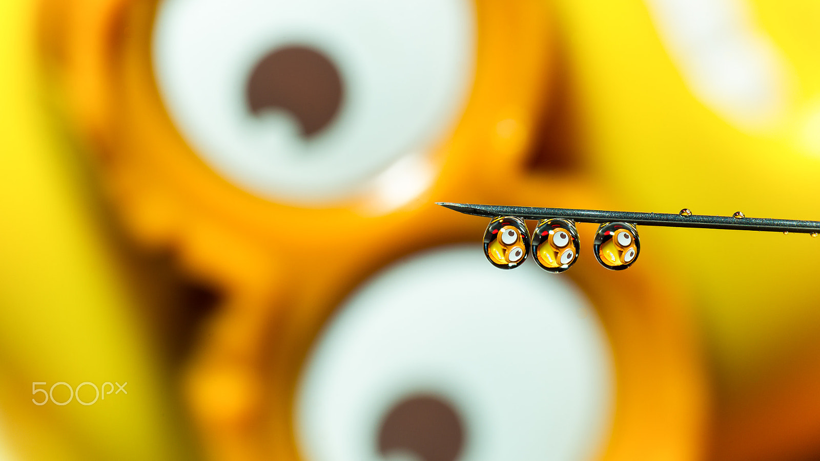 Canon EF 100mm F2.8 Macro USM sample photo. Minions photography