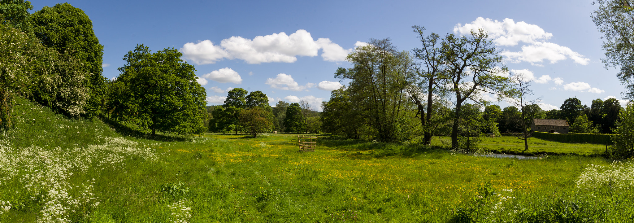 Sony SLT-A65 (SLT-A65V) sample photo. Haddon fields photography