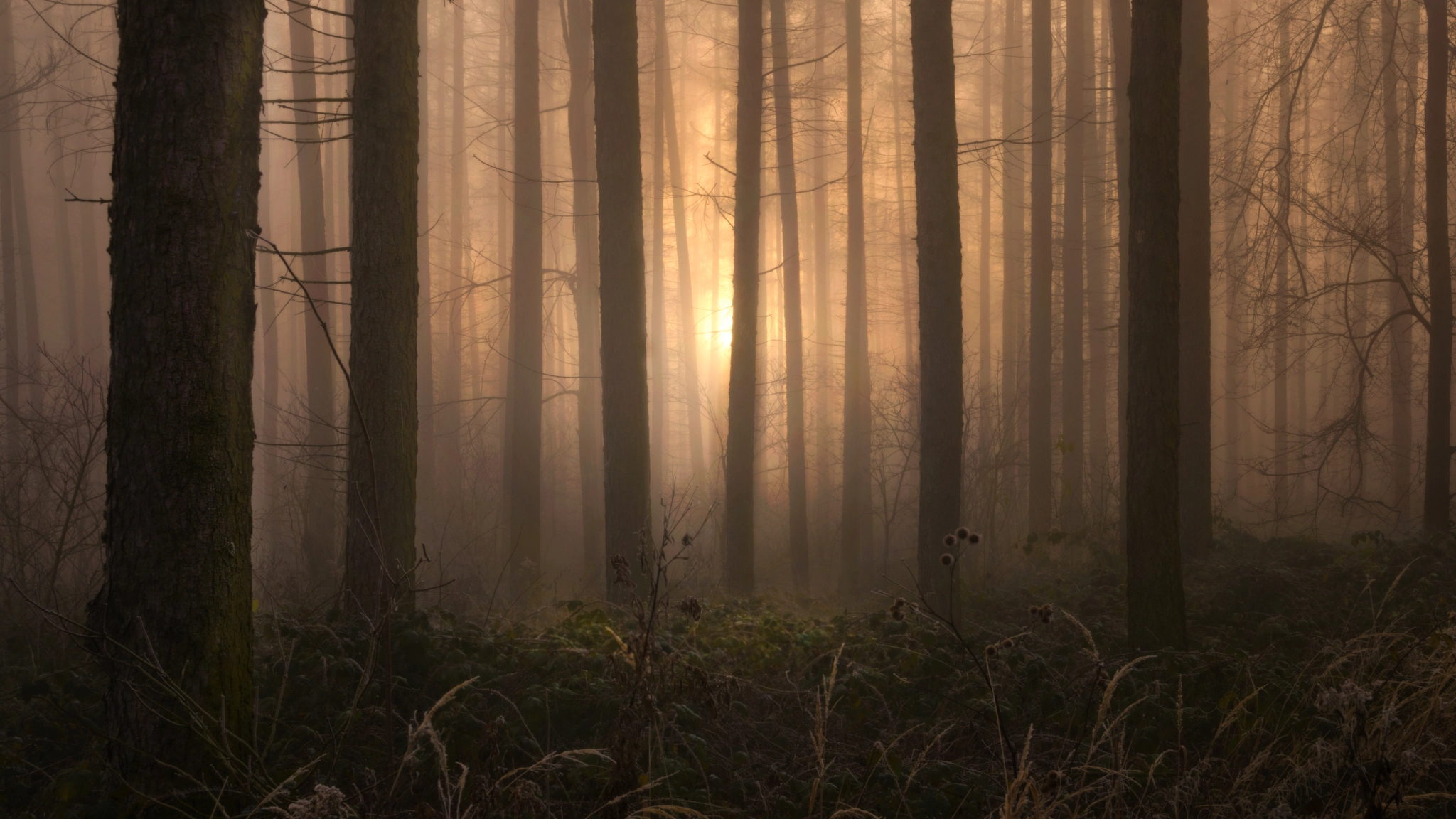 Nikon D7100 + Sigma 18-50mm F2.8 EX DC sample photo. Surrounding silence photography