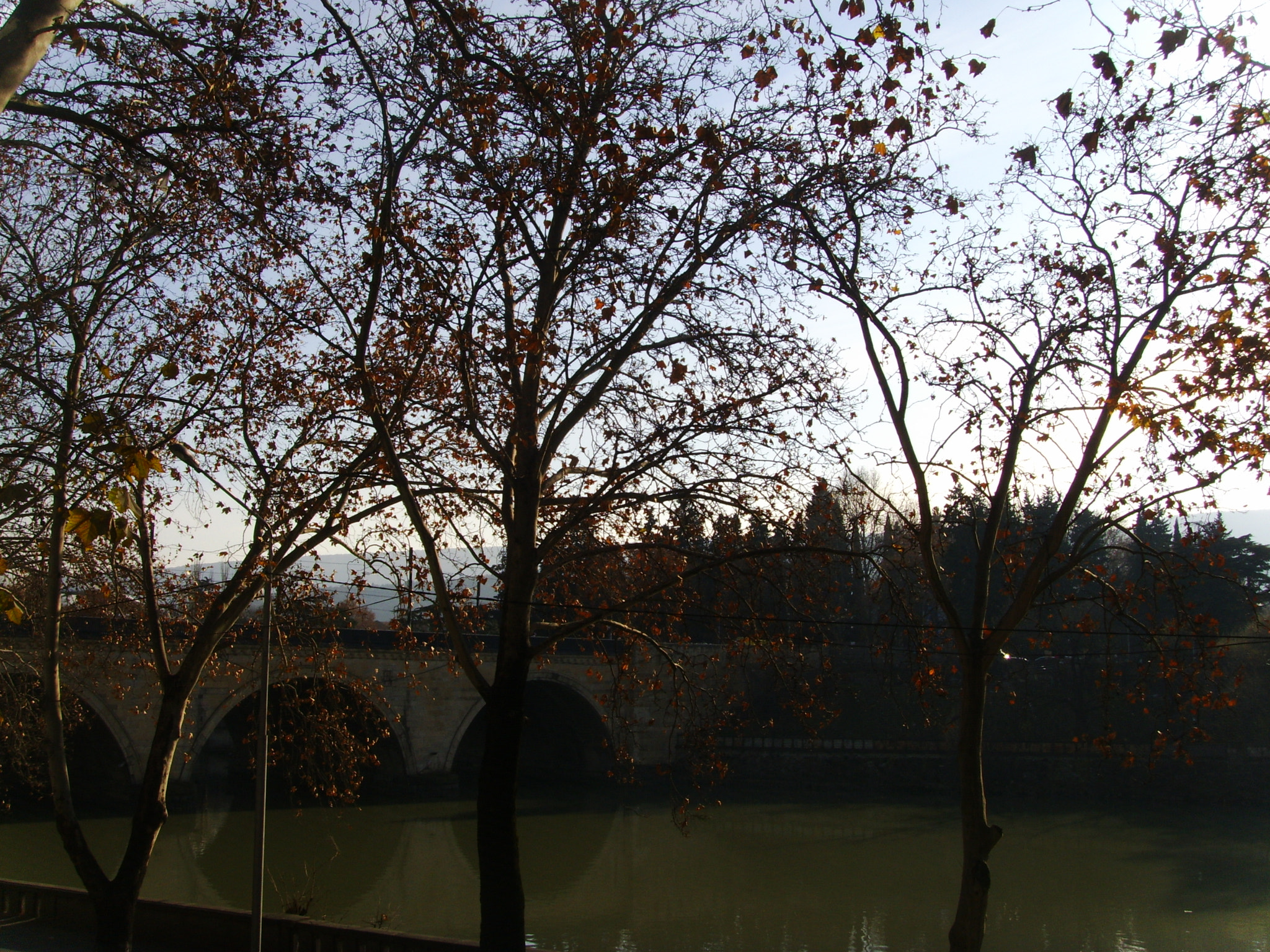 DIGITAL CAM sample photo. Digital camer photography