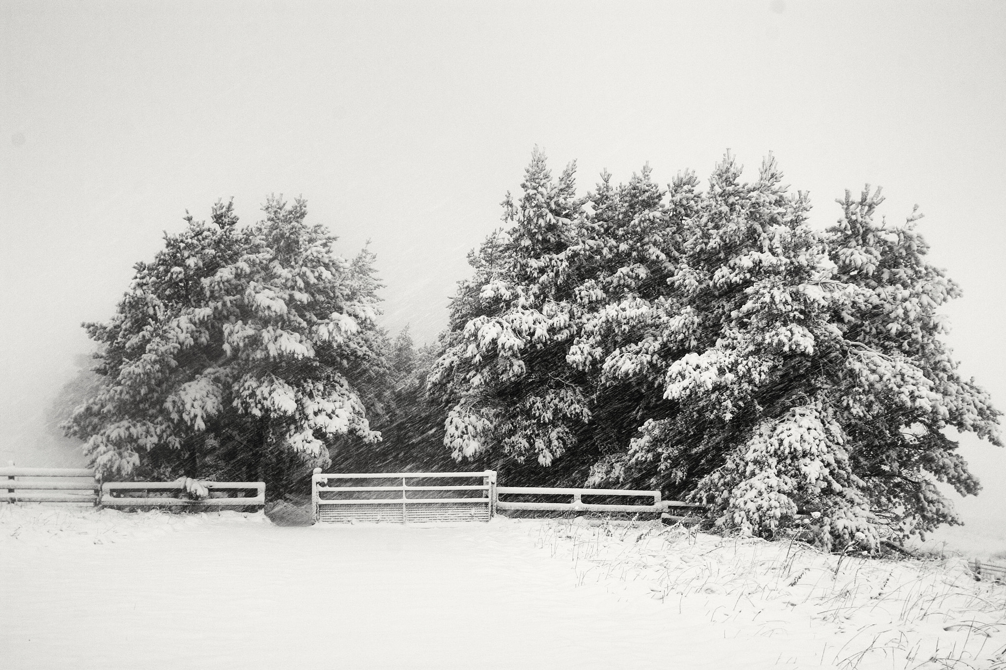 Canon EF 28mm F2.8 sample photo. Winter wonderland photography