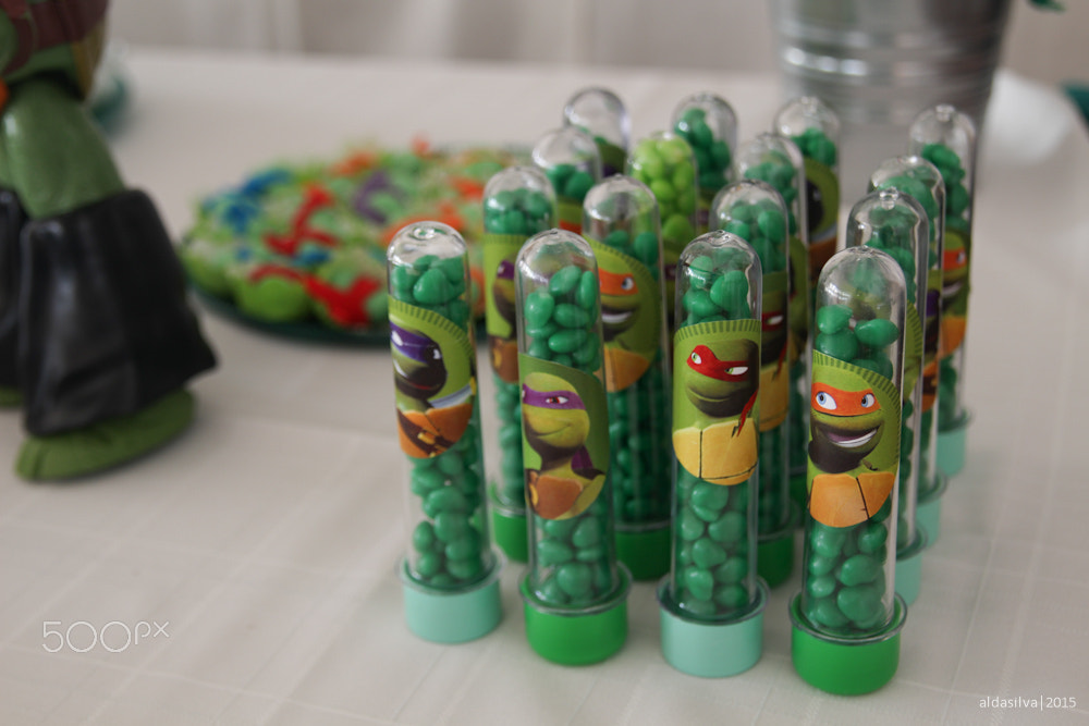 Sigma 17-70mm F2.8-4 DC Macro OS HSM sample photo. Guilherme | tmnt photography