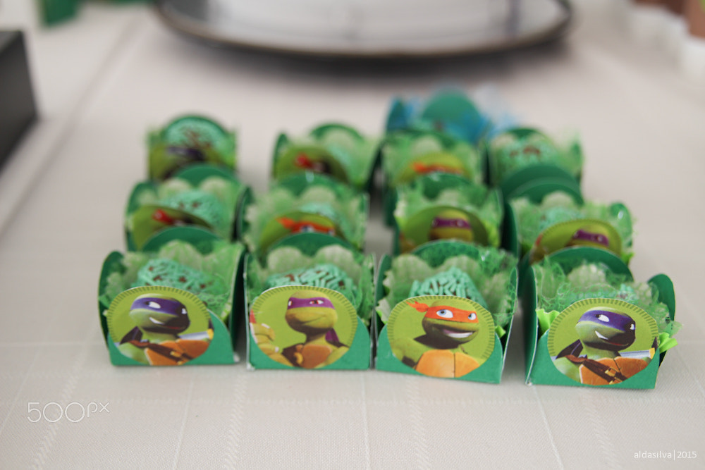 Sigma 17-70mm F2.8-4 DC Macro OS HSM sample photo. Guilherme | tmnt photography