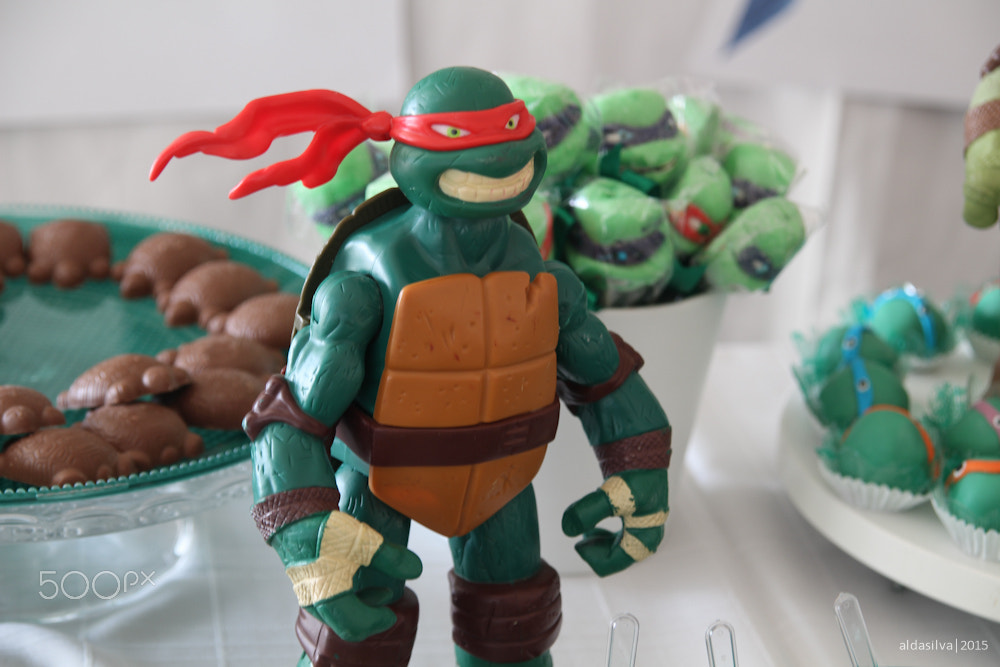 Sigma 17-70mm F2.8-4 DC Macro OS HSM sample photo. Guilherme | tmnt photography