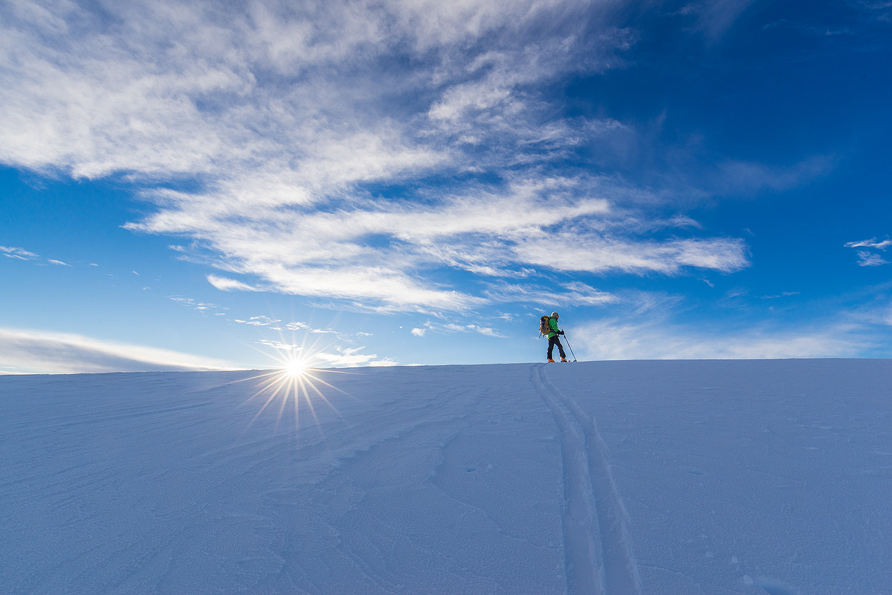 Sony a7R + Canon EF 16-35mm F4L IS USM sample photo. December photography