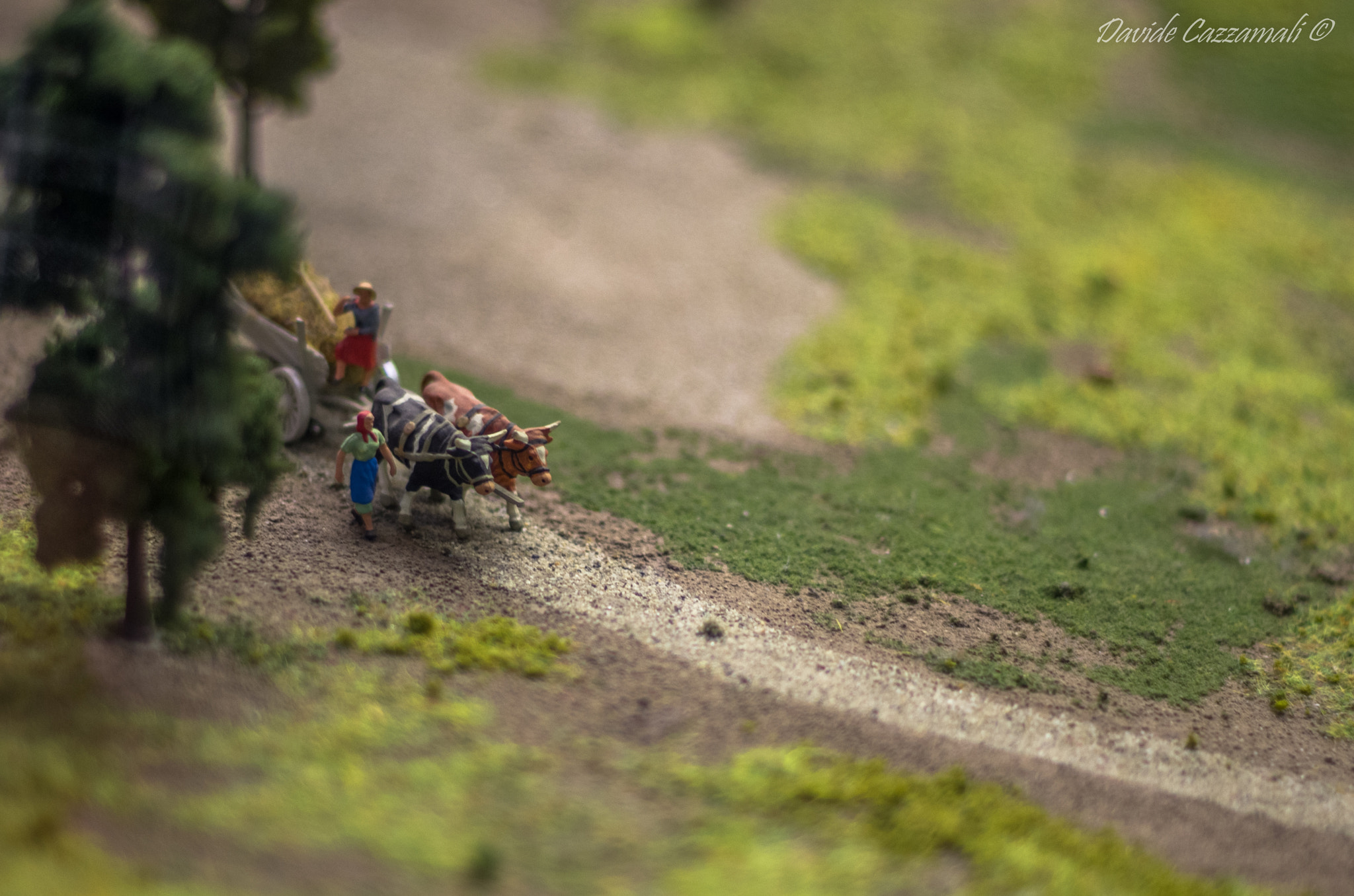 Pentax K-5 + smc PENTAX-F 50mm F1.7 sample photo. Morimondo abbey model, middle ages photography