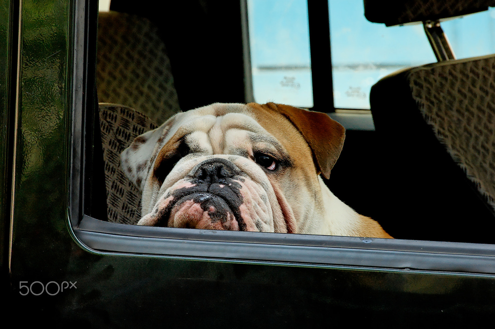 Nikon D70 sample photo. Waiting quietly photography