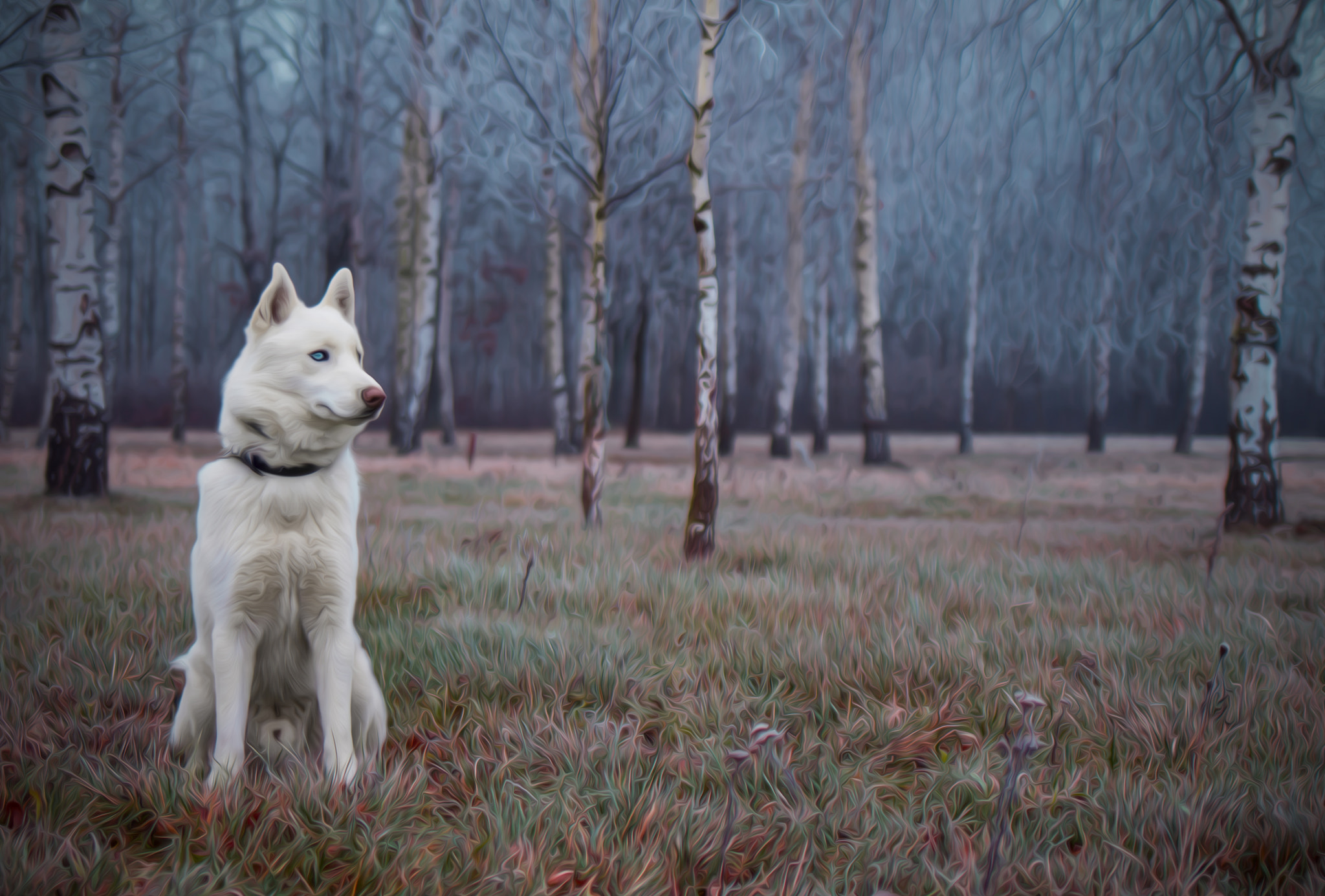 Canon EOS 100D (EOS Rebel SL1 / EOS Kiss X7) + Canon EF 35mm F2 IS USM sample photo. White dog with white trees photography