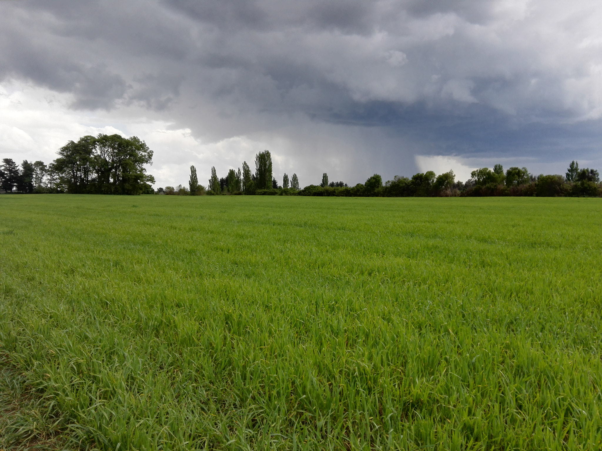 HUAWEI CHC-U03 sample photo. Tormenta photography