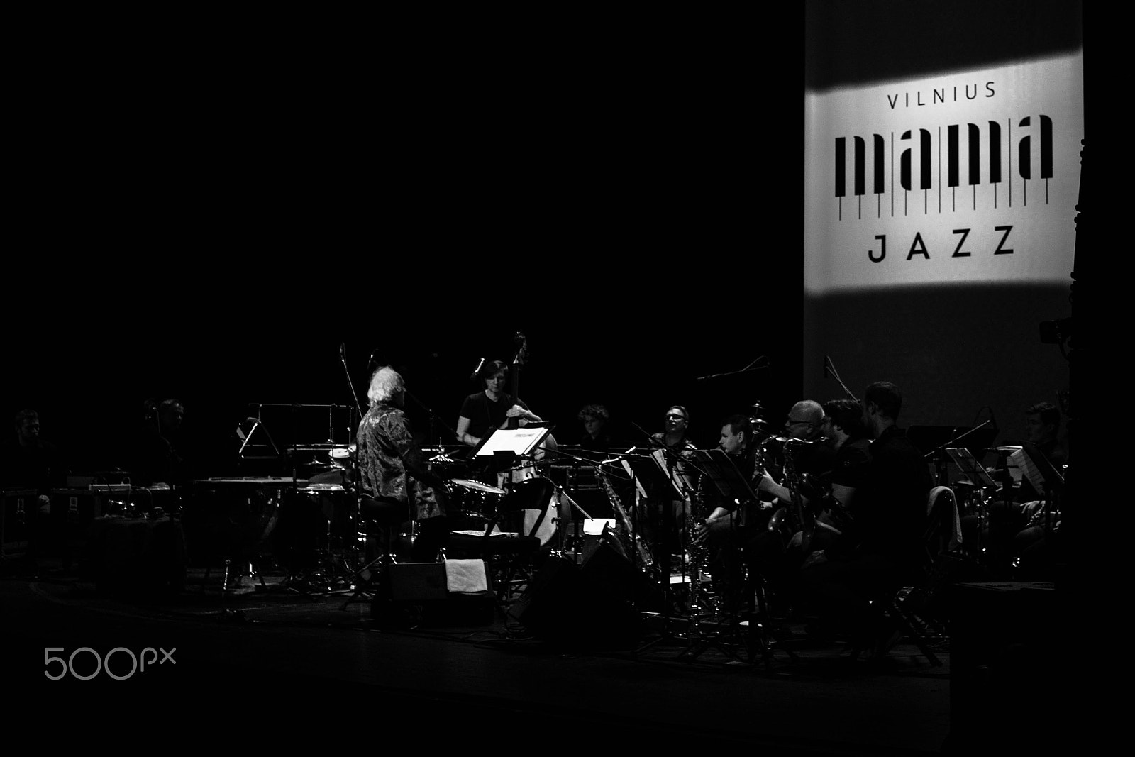 Canon EOS 760D (EOS Rebel T6s / EOS 8000D) sample photo. Vladimir tarasov & lithuanian art orchestra photography