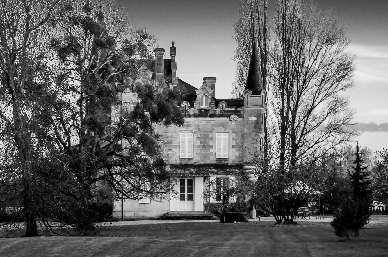 Nikon D300 + AF Nikkor 50mm f/1.8 sample photo. Winery in pessac-leognan photography