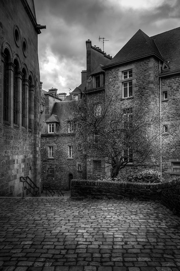 Canon EOS-1Ds Mark III sample photo. L'arbre - blois, novembre 2015 photography