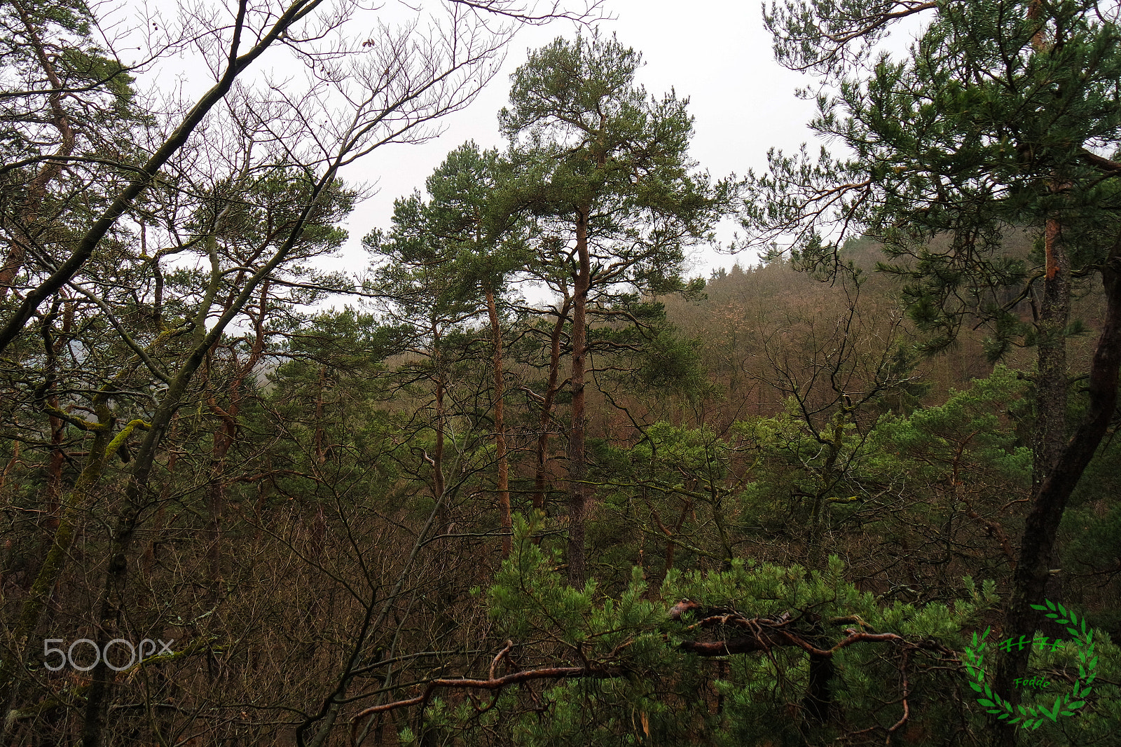 Samsung NX-M 9-27mm F3.5-5.6 ED OIS sample photo. Mtb tour 12.12. photography