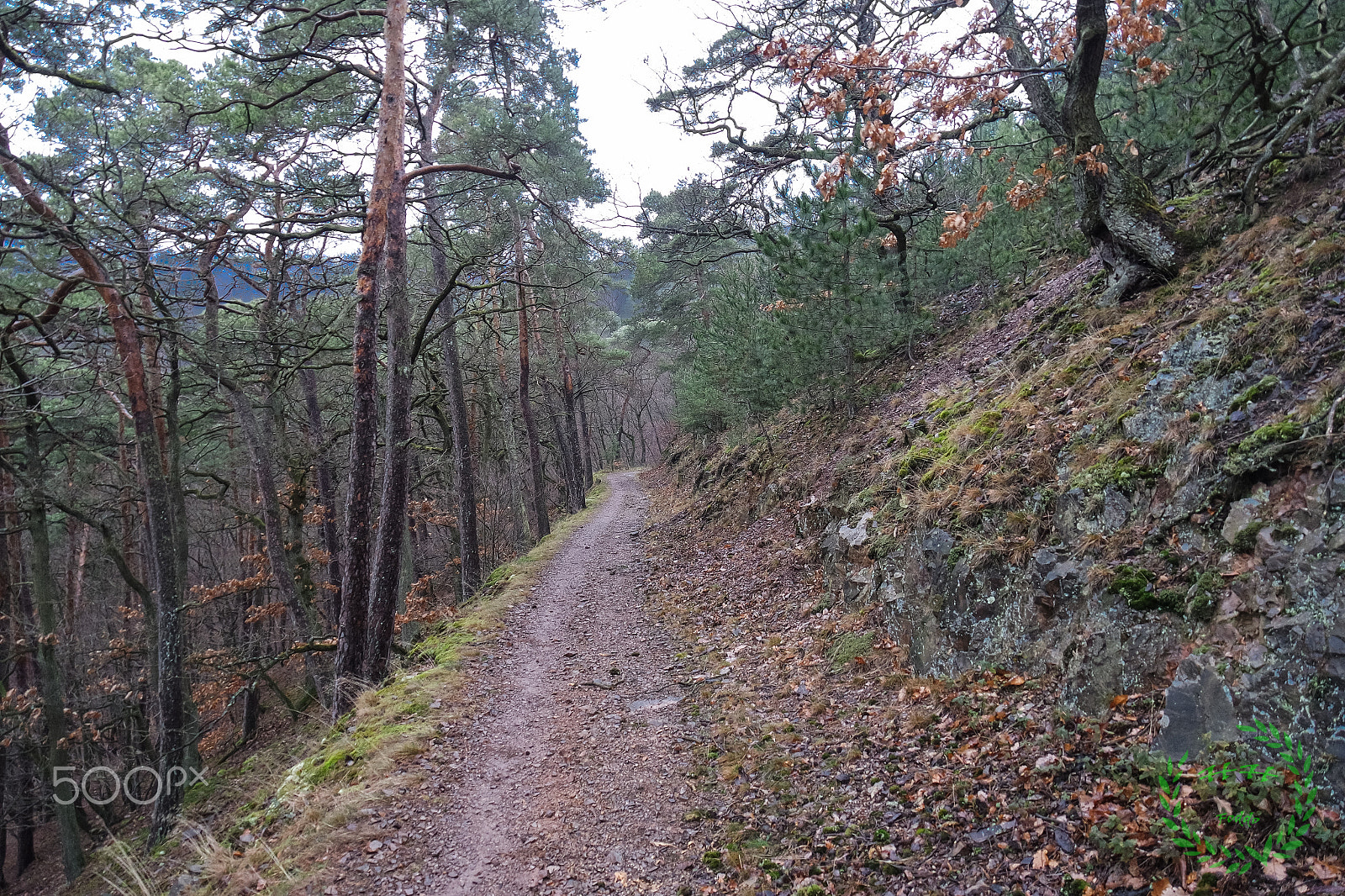 Samsung NX-M 9-27mm F3.5-5.6 ED OIS sample photo. Mtb tour 12.12 singel trail photography