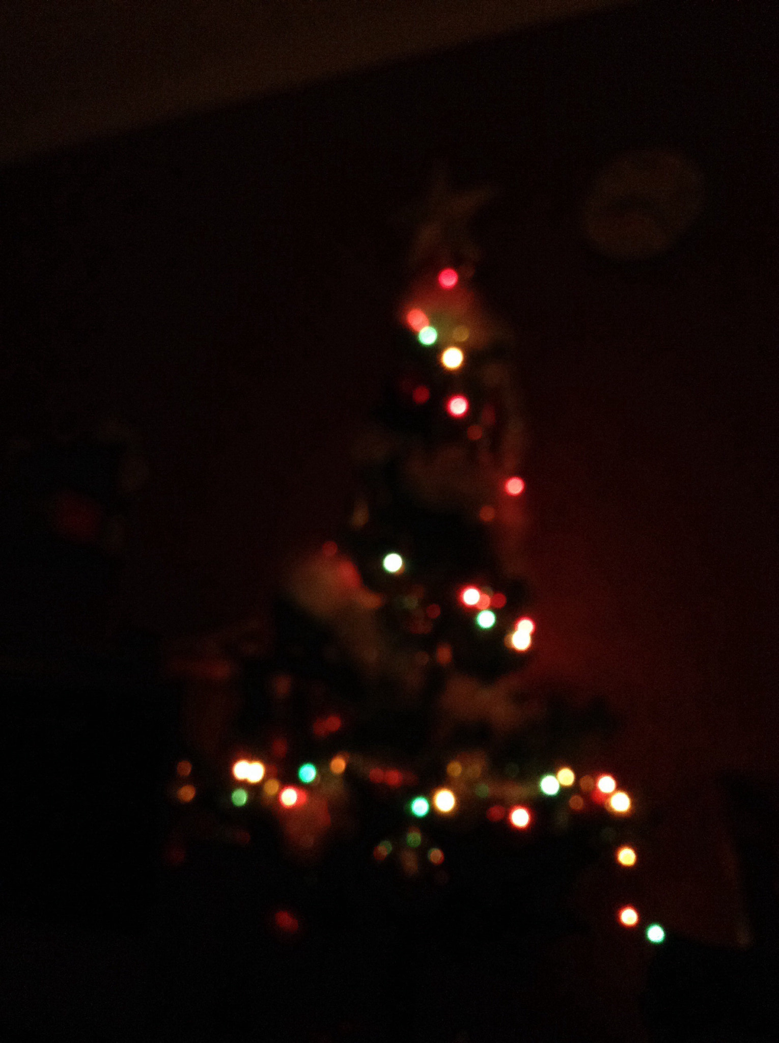 Apple iPod Touch (5 Gen) sample photo
