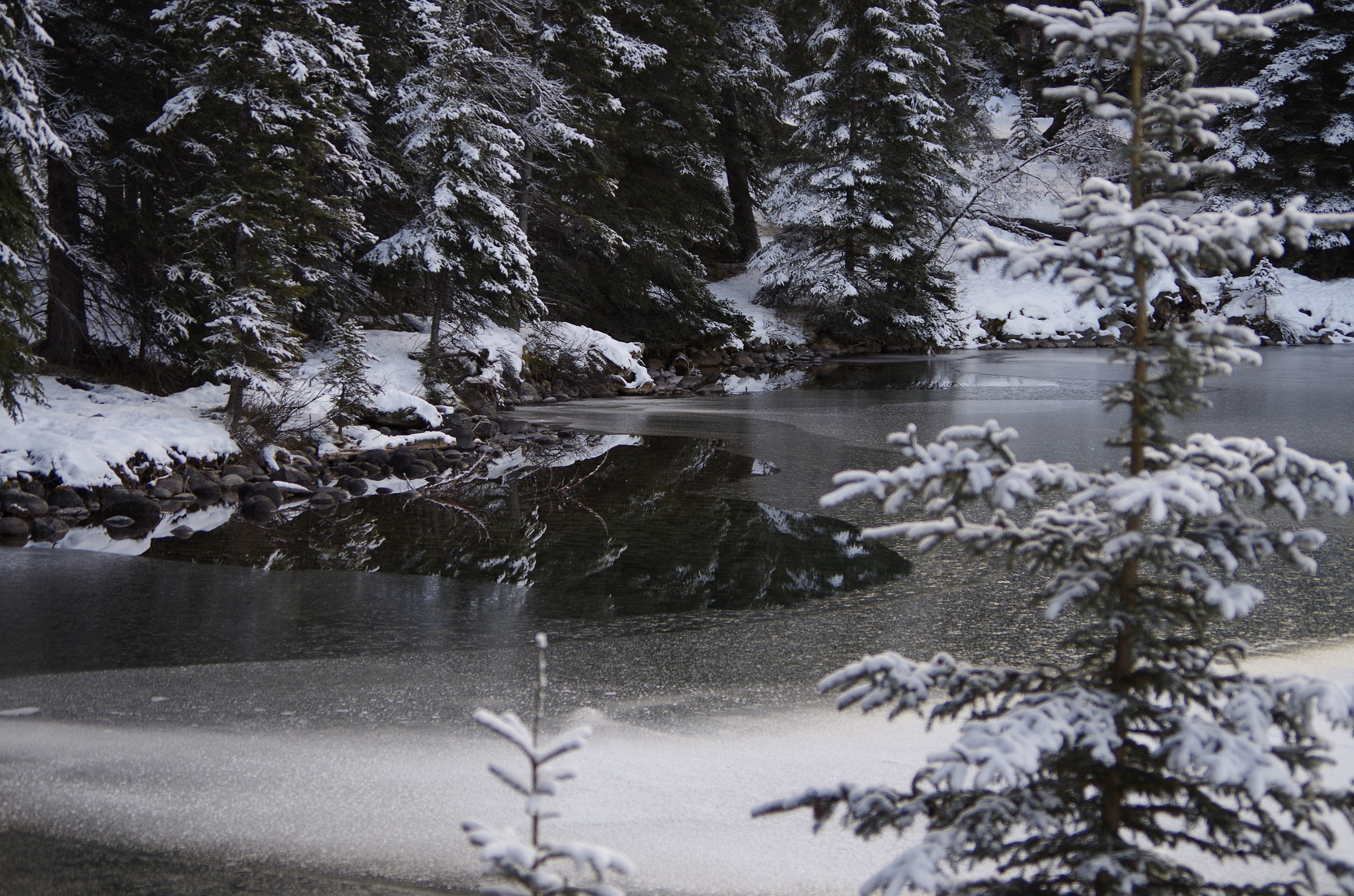 Pentax smc DA 50-200mm F4-5.6 ED sample photo. Sunday morning walk maligne canyon jasper alberta photography