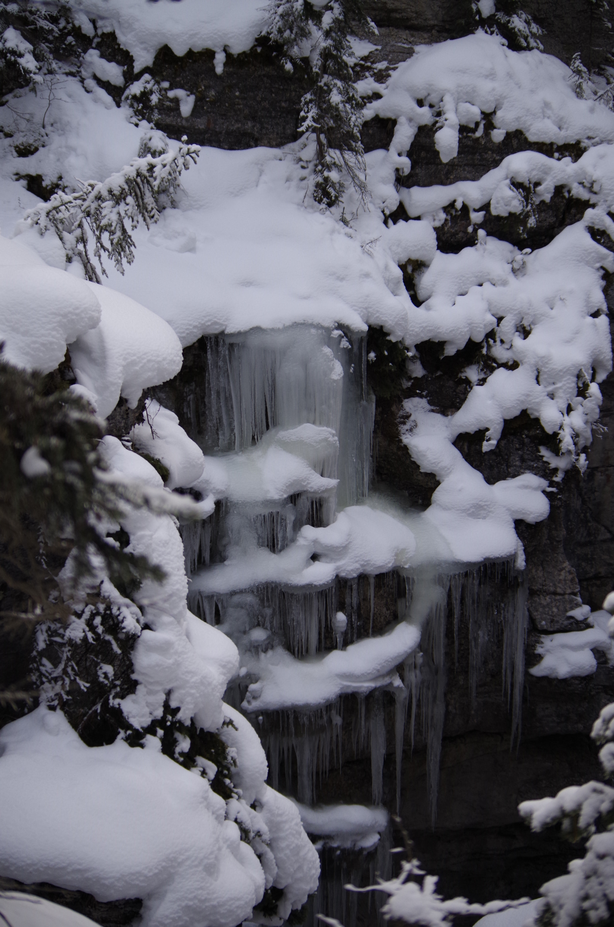 Pentax K-50 + Pentax smc DA 50-200mm F4-5.6 ED sample photo. Sunday morning walk maligne canyon jasper alberta photography