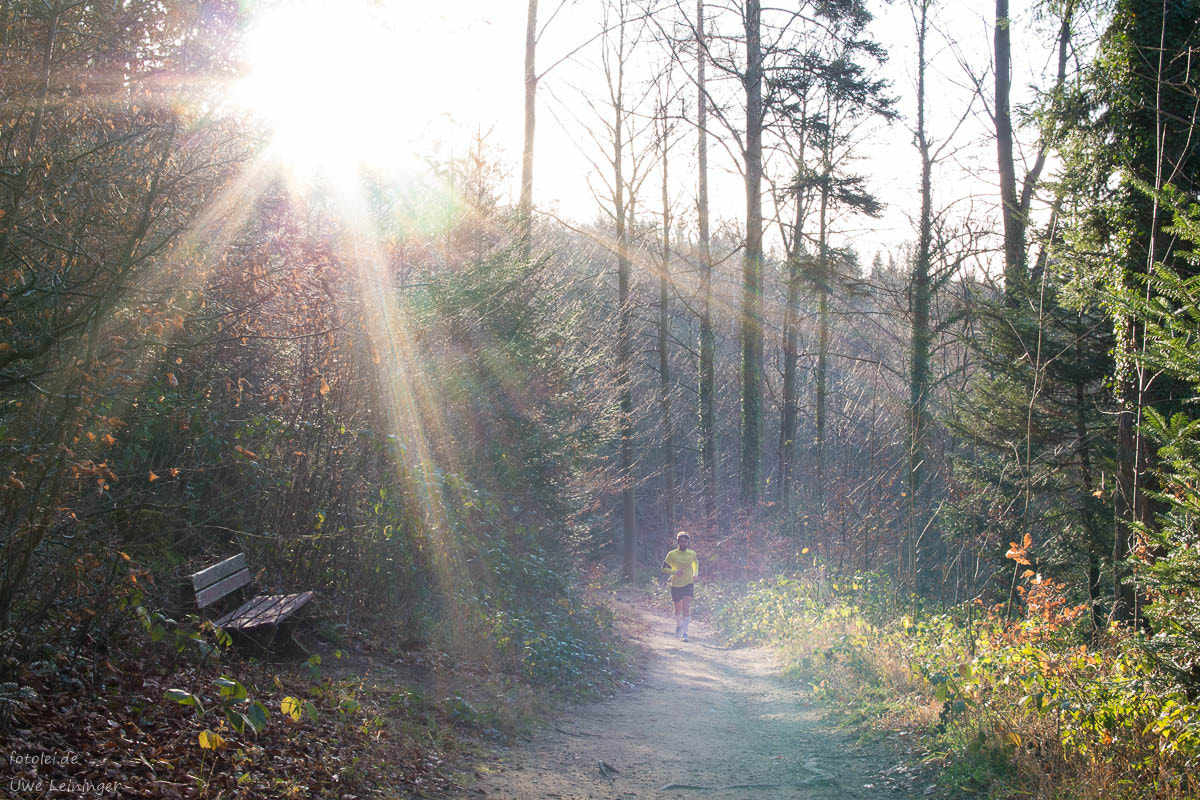 Panasonic Lumix DMC-G5 + Olympus M.Zuiko Digital 25mm F1.8 sample photo. Runner in the forest at sunset photography