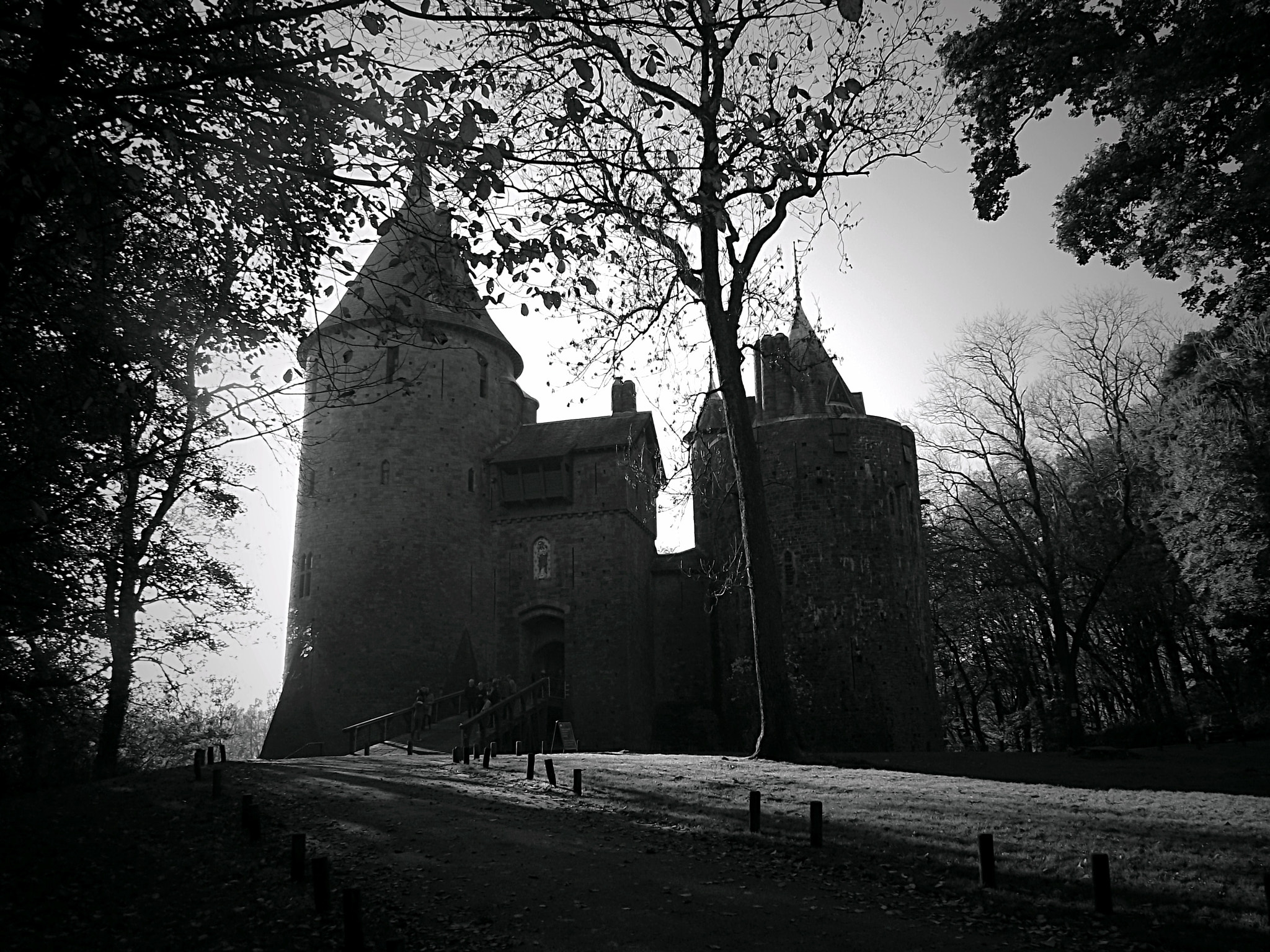 Fujifilm FinePix S1730 sample photo. 01-11-15 - castell coch - tongwynlais photography