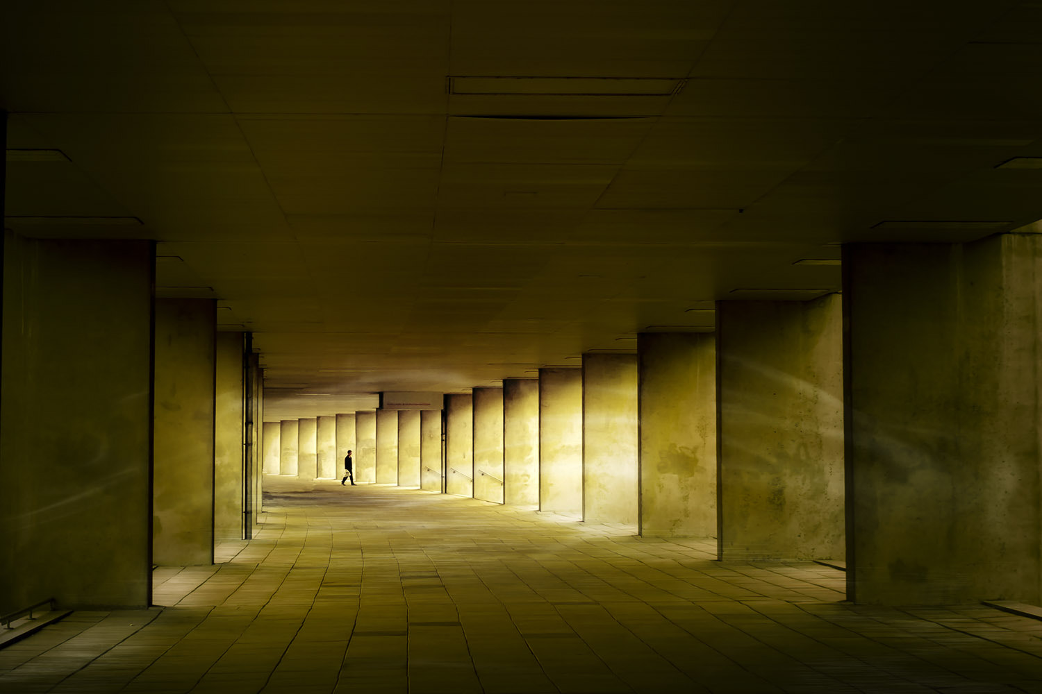 Canon 6.1-30.5 mm sample photo. To the light photography