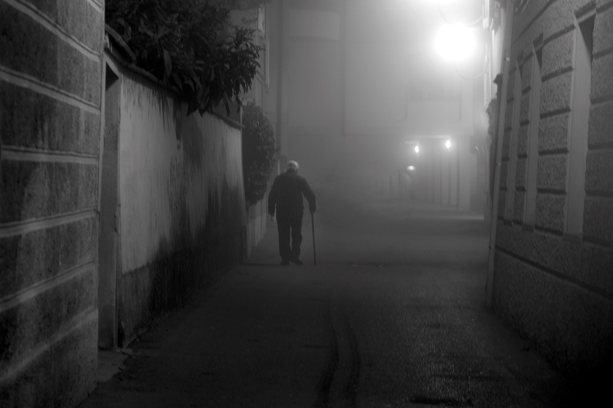 Nikon Df sample photo. Old man in the mist photography