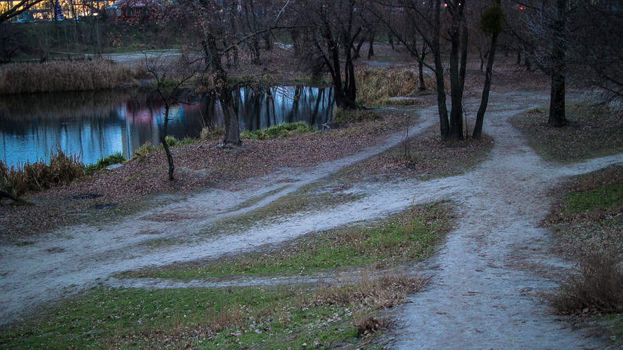 Nikon 1 J1 + Nikon 1 Nikkor 18.5mm F1.8 sample photo. Dsc_4108.jpg photography