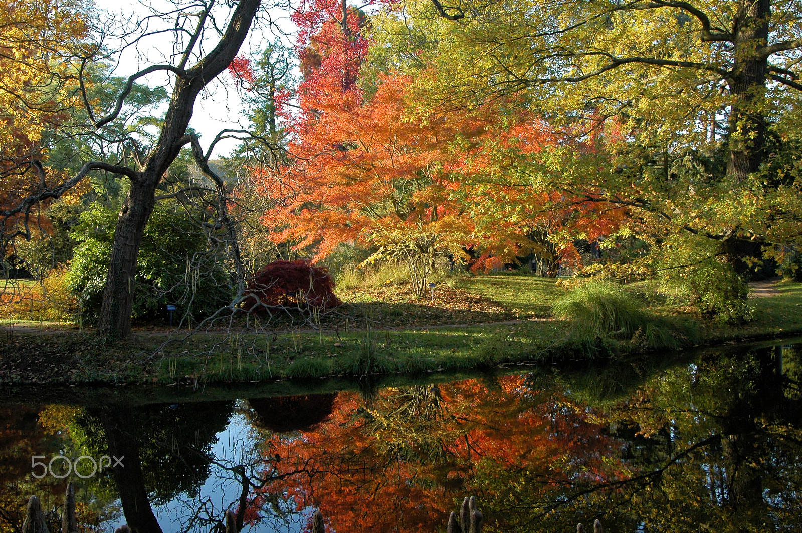 Nikon D70 sample photo. Autumn photography