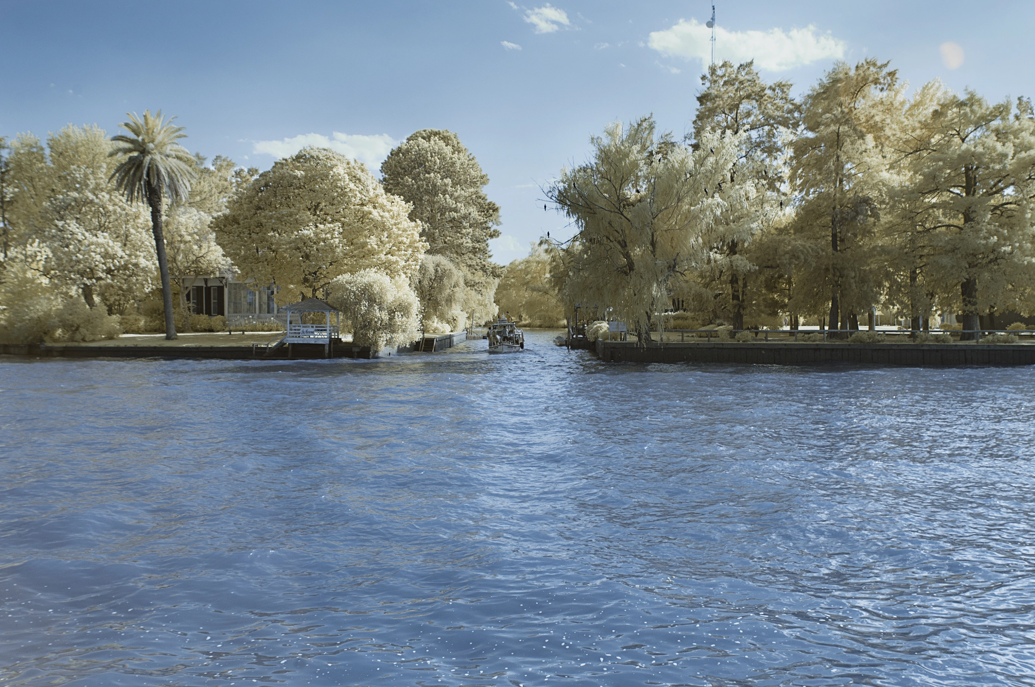 Nikon AF-S Nikkor 14-24mm F2.8G ED sample photo. Tigre infrared photography