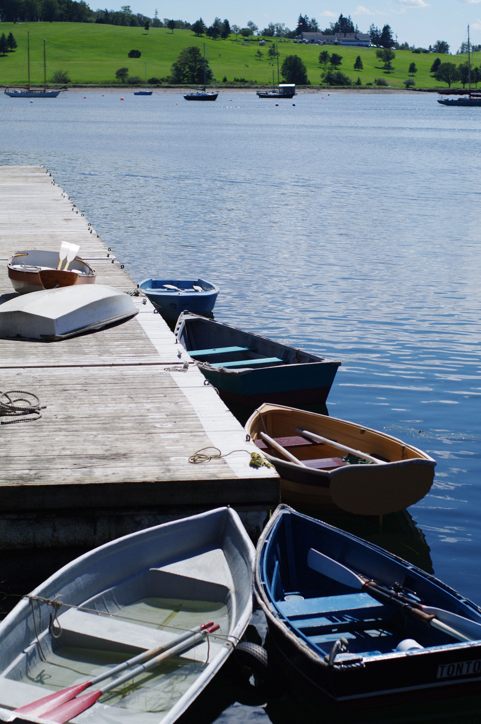 Pentax K-7 + Pentax smc FA 50mm F1.4 sample photo. Row boats photography
