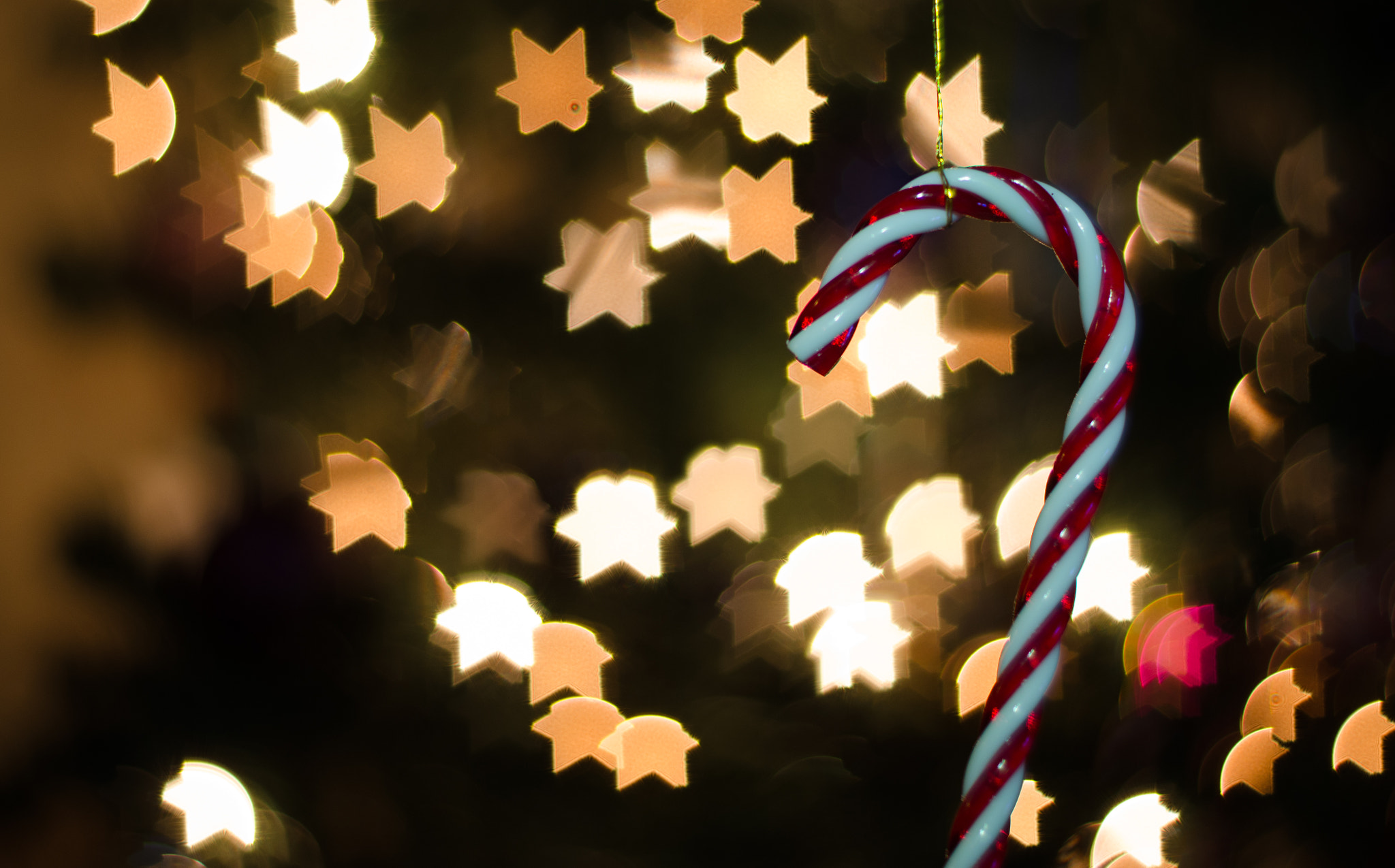 Nikon D5100 + Nikon AF Nikkor 50mm F1.8D sample photo. Christmas bokeh 2 photography