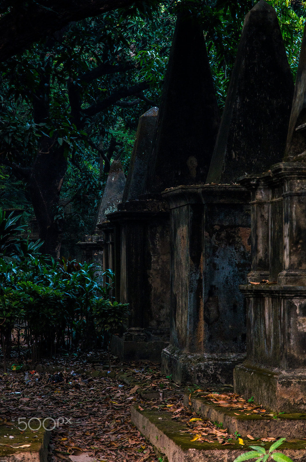Pentax K-5 IIs sample photo. Park street cemetery photography