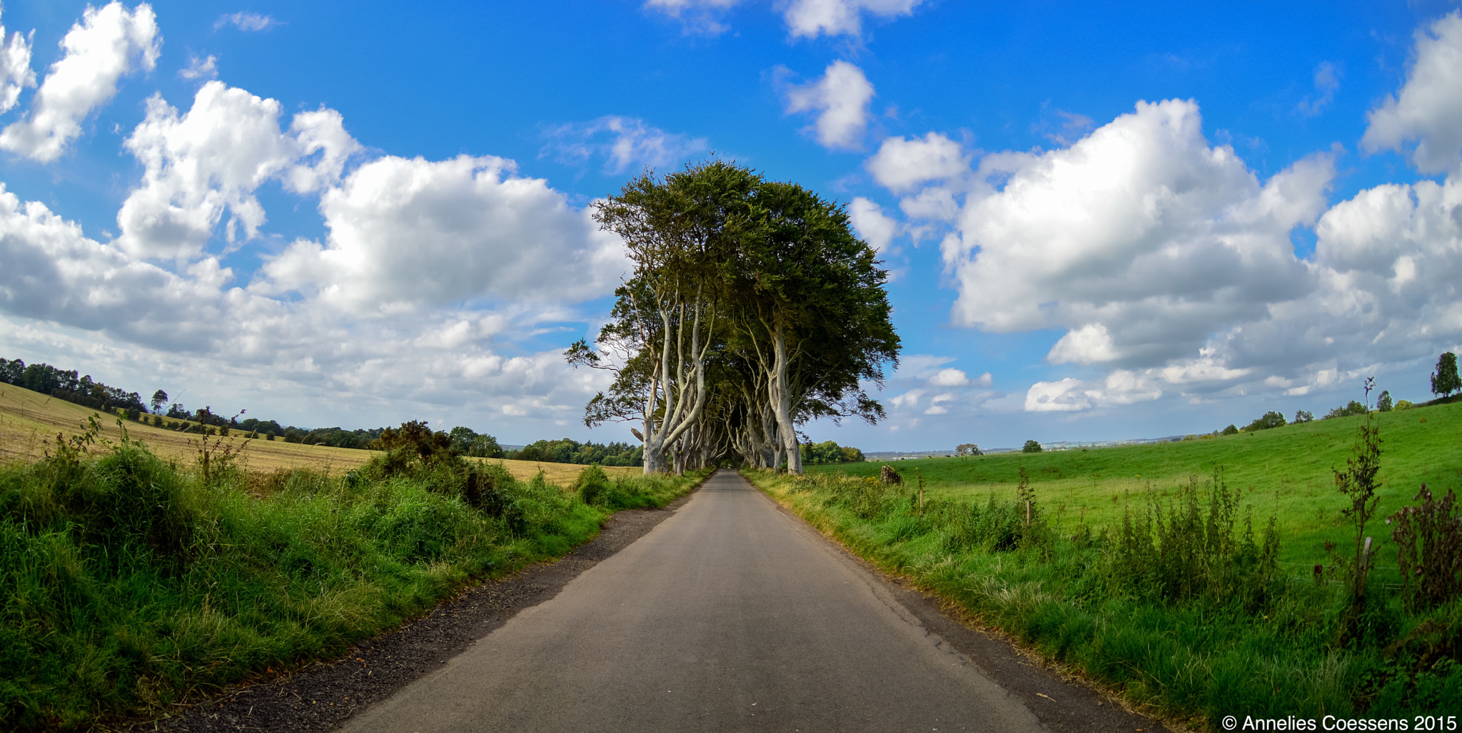 Nikon AF DX Fisheye-Nikkor 10.5mm F2.8G ED sample photo. Dark hedges photography