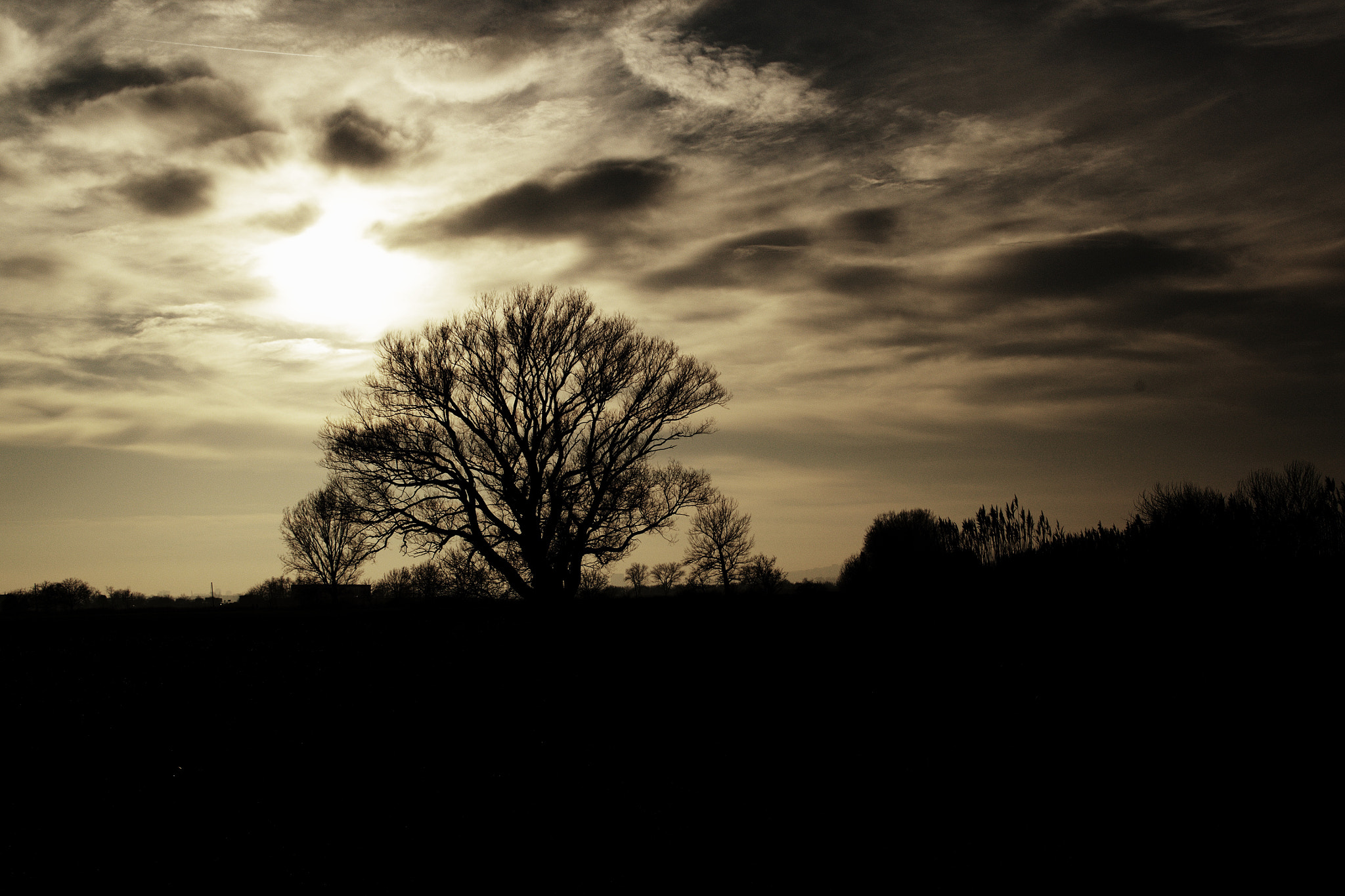 18.00 - 55.00 mm f/3.5 - 5.6 sample photo. ... photography
