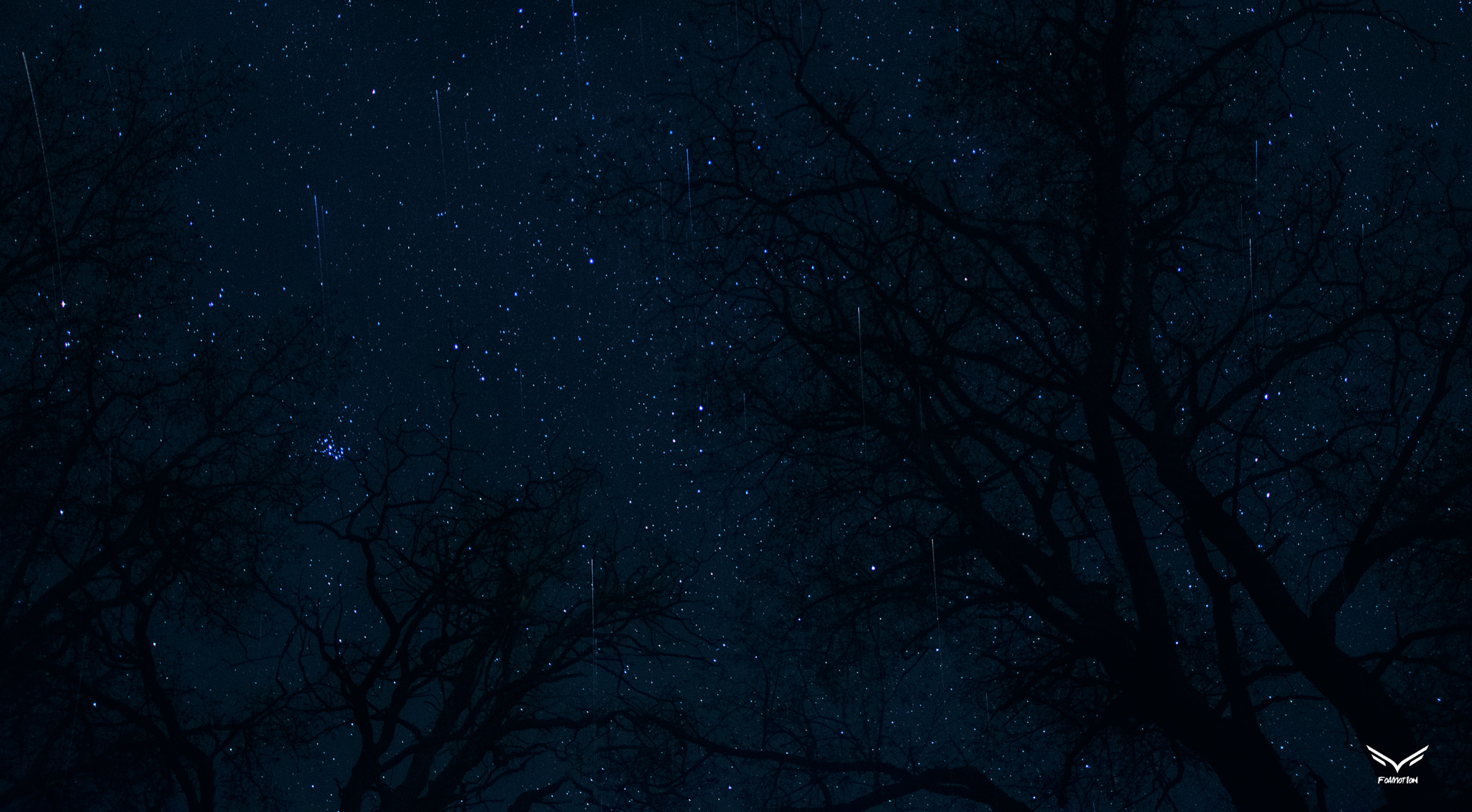 Sigma 17-70mm F2.8-4 DC Macro OS HSM sample photo. Shooting stars photography