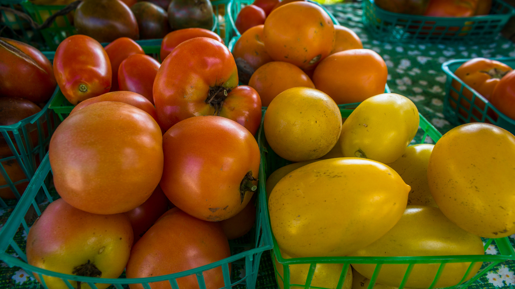 Sony a6000 + Canon EF-S 18-55mm F3.5-5.6 IS sample photo. Lr farmers market photography