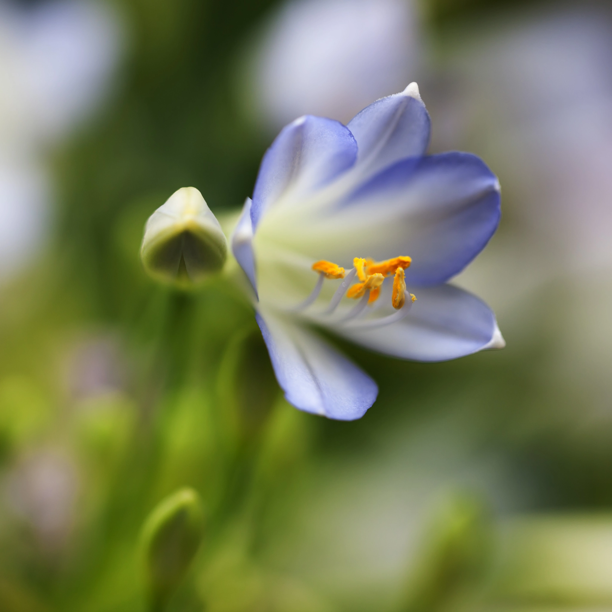 Canon EOS-1Ds Mark III sample photo. White photography